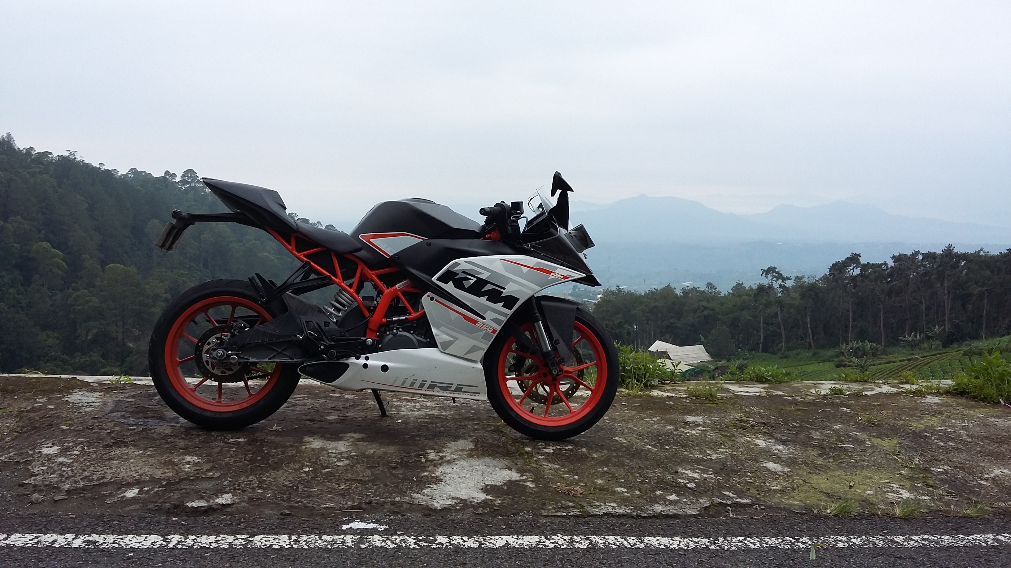 Photo 2776894