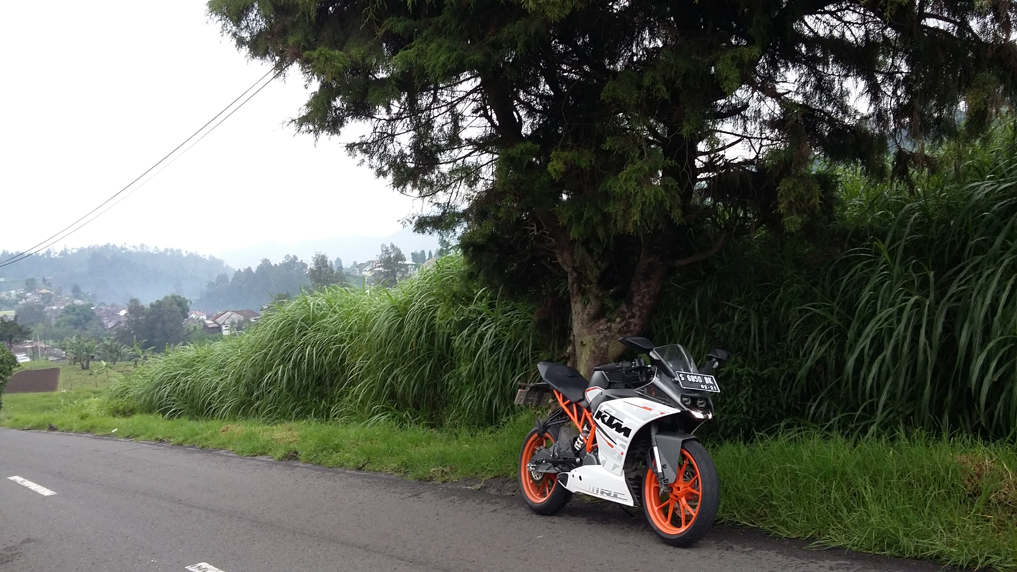 Photo 2776903