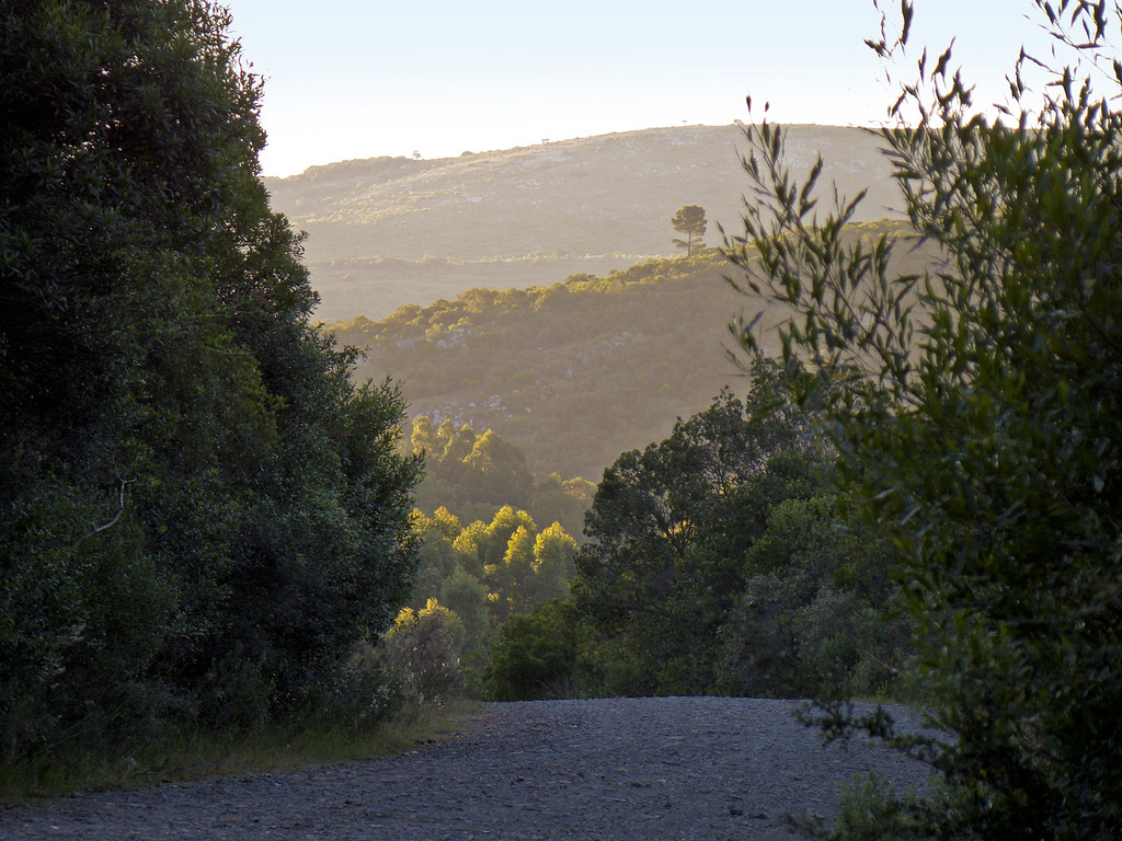 Photo 2777090