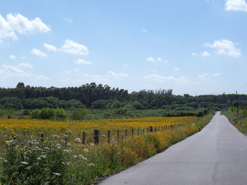 Photo 2777336