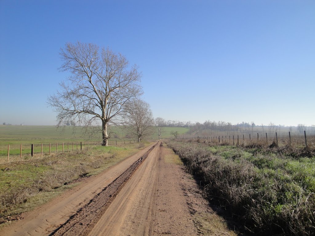 Photo 2777337