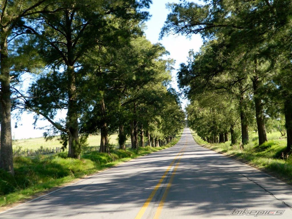 Photo 2777340
