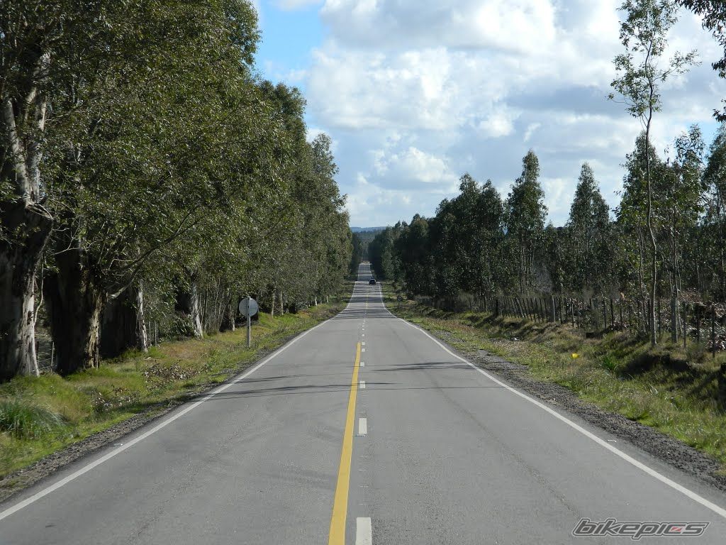 Photo 2777341
