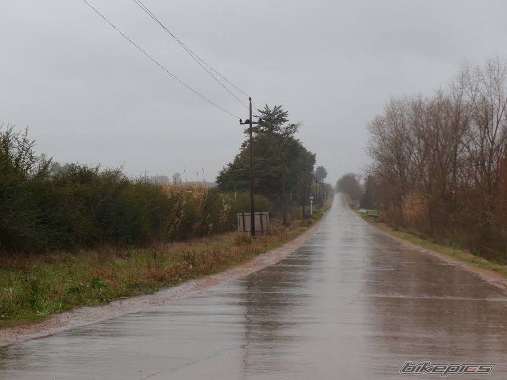 Photo 2777342