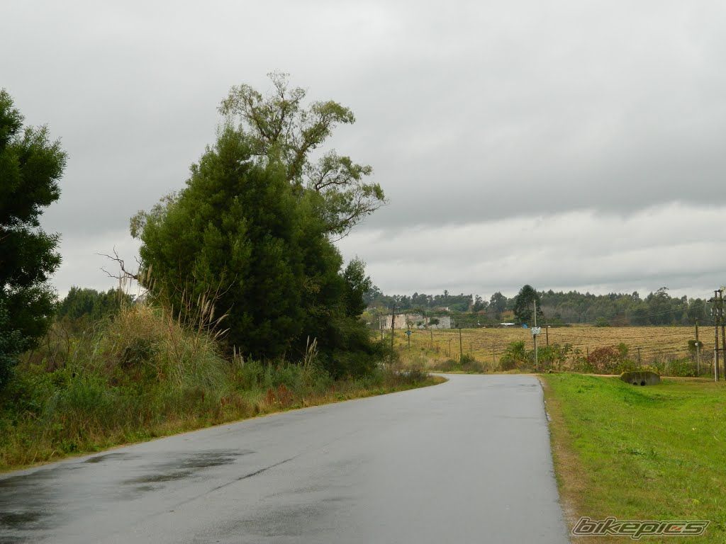 Photo 2777350