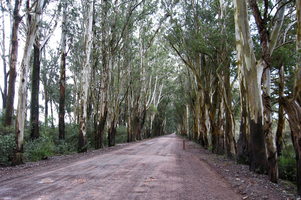 Photo 2777352
