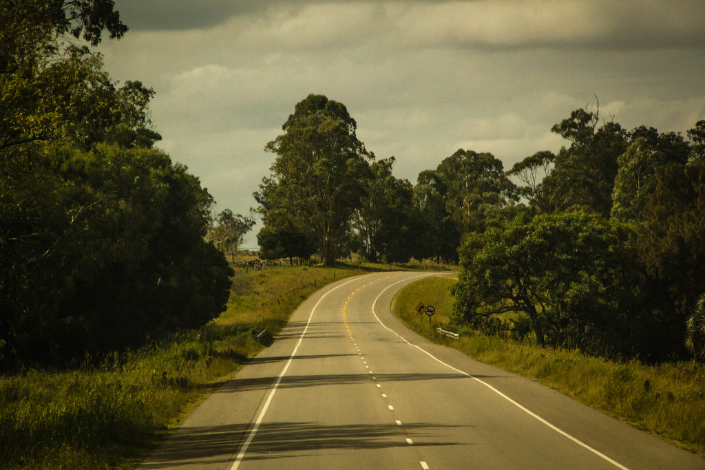 Photo 2777353