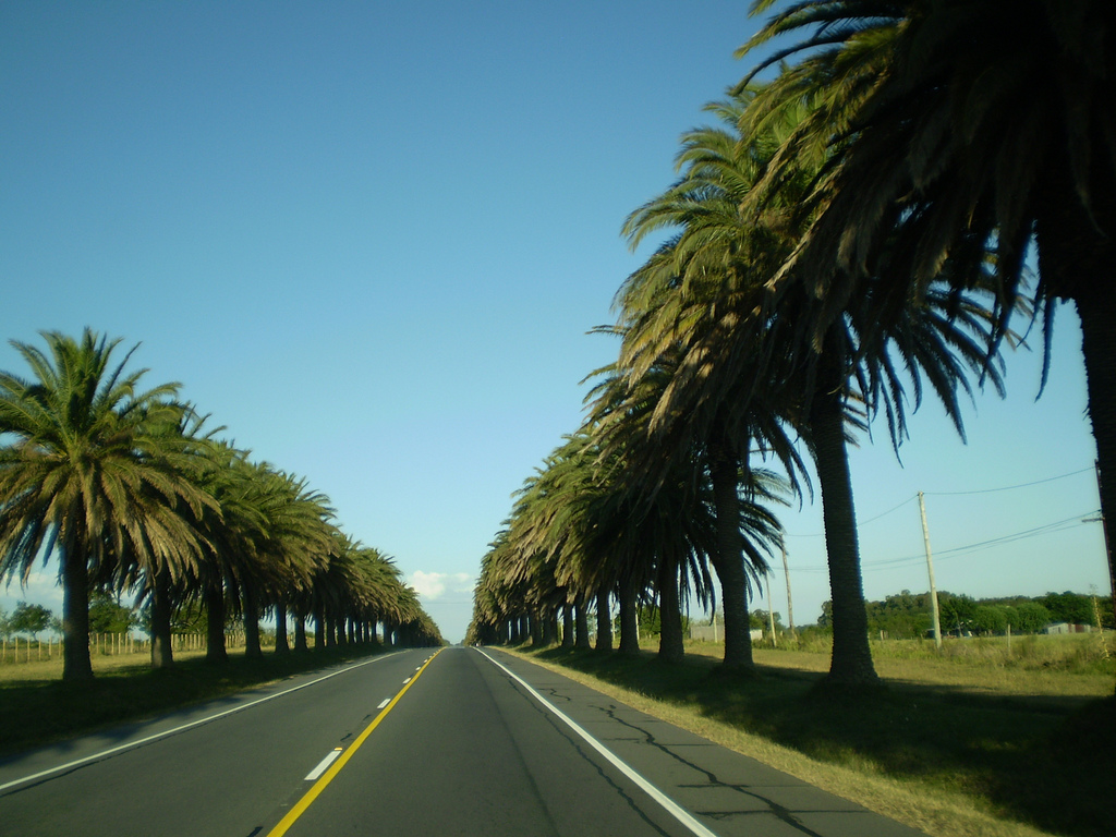 Photo 2777354