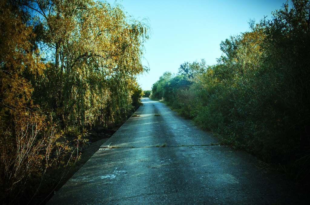 Photo 2777359
