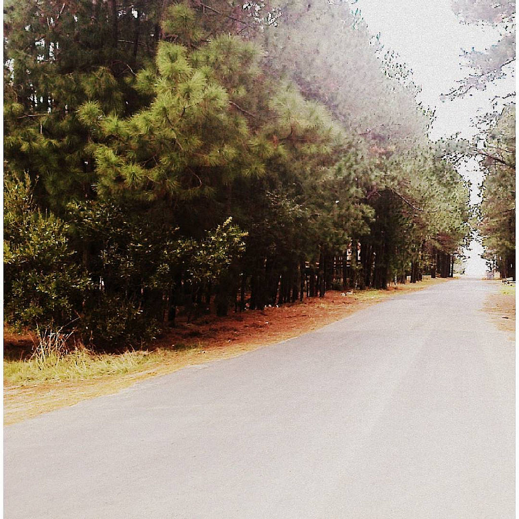 Photo 2777361