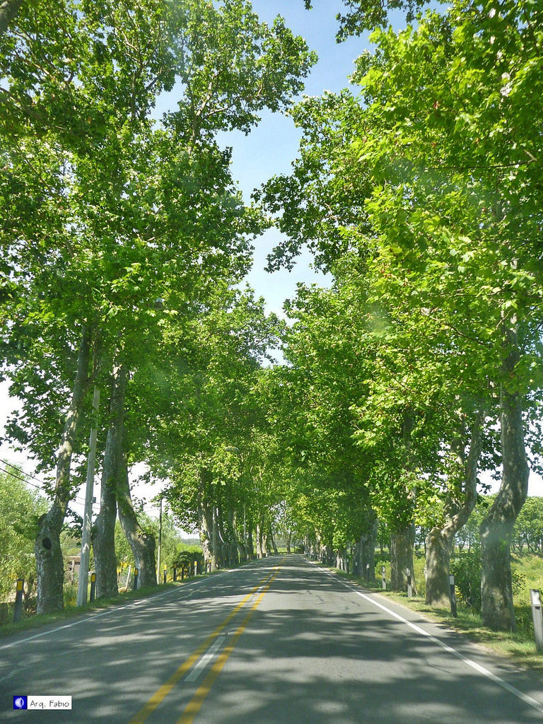 Photo 2777362