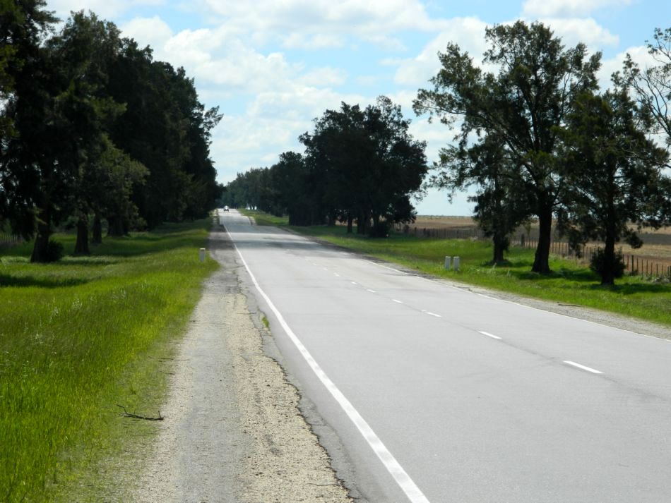 Photo 2777384