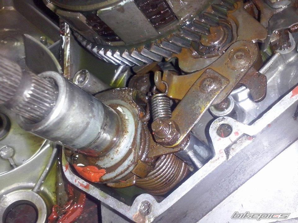 Photo 2777540