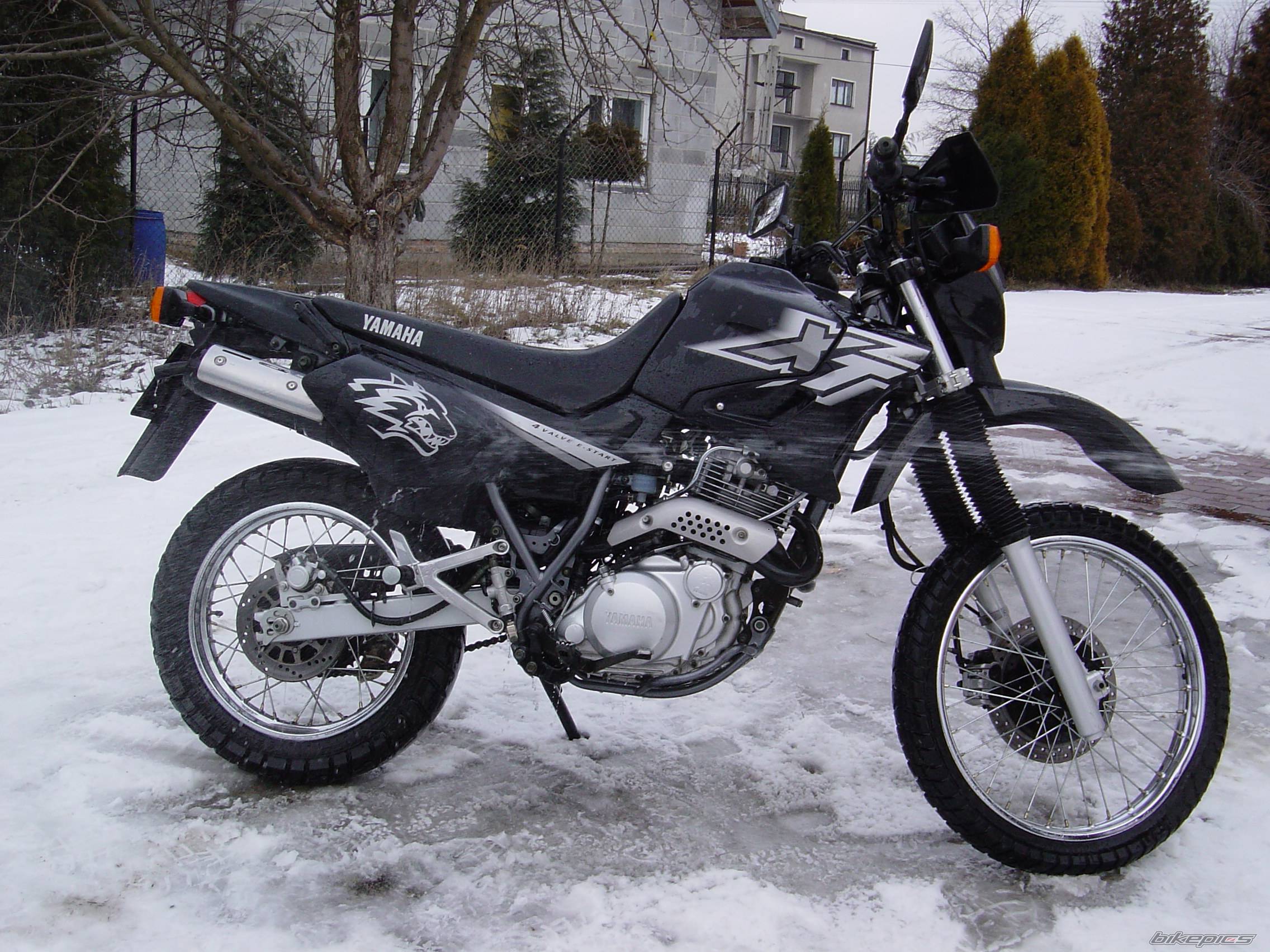 Photo 277761