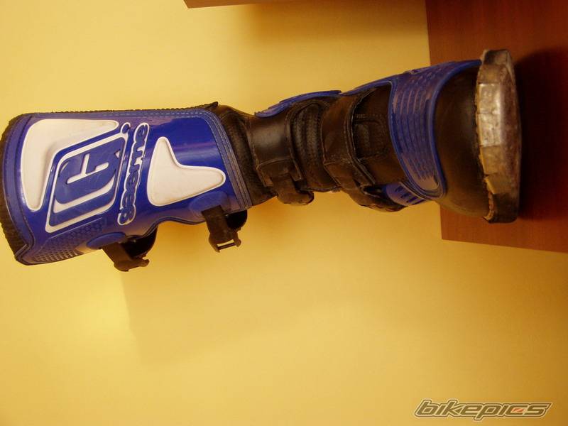 Photo 277764