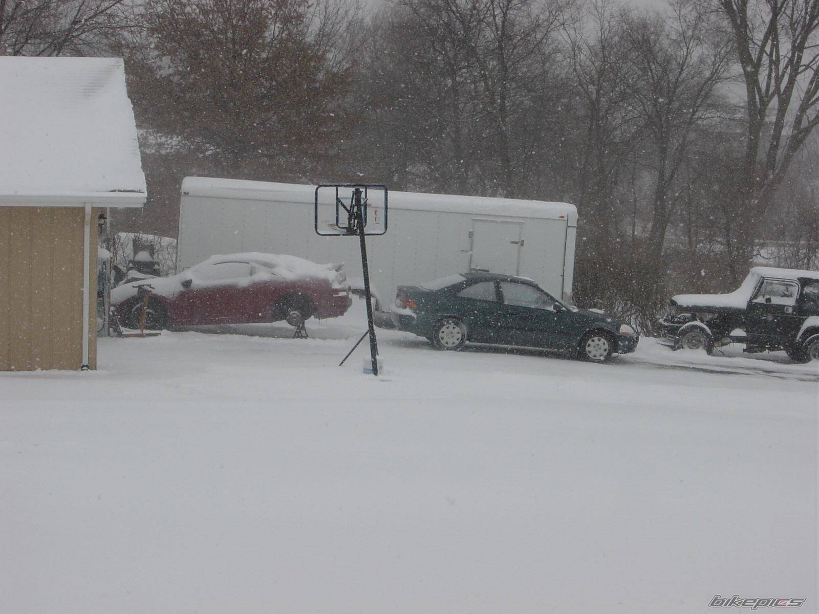 Photo 277788