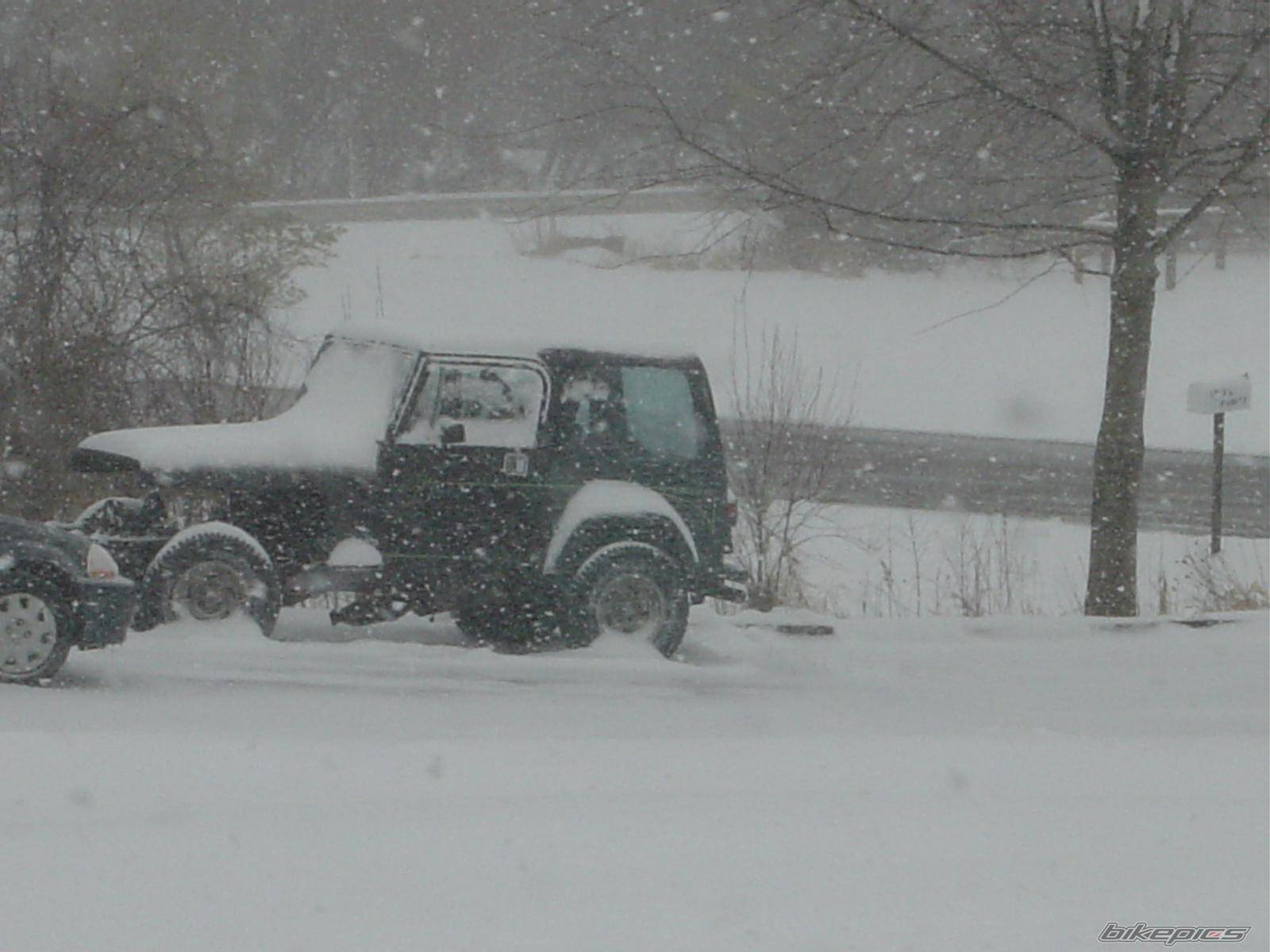 Photo 277794