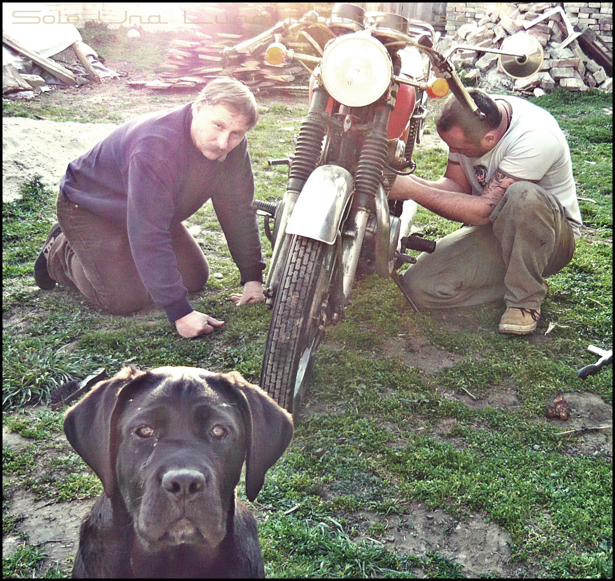 Photo 2777983