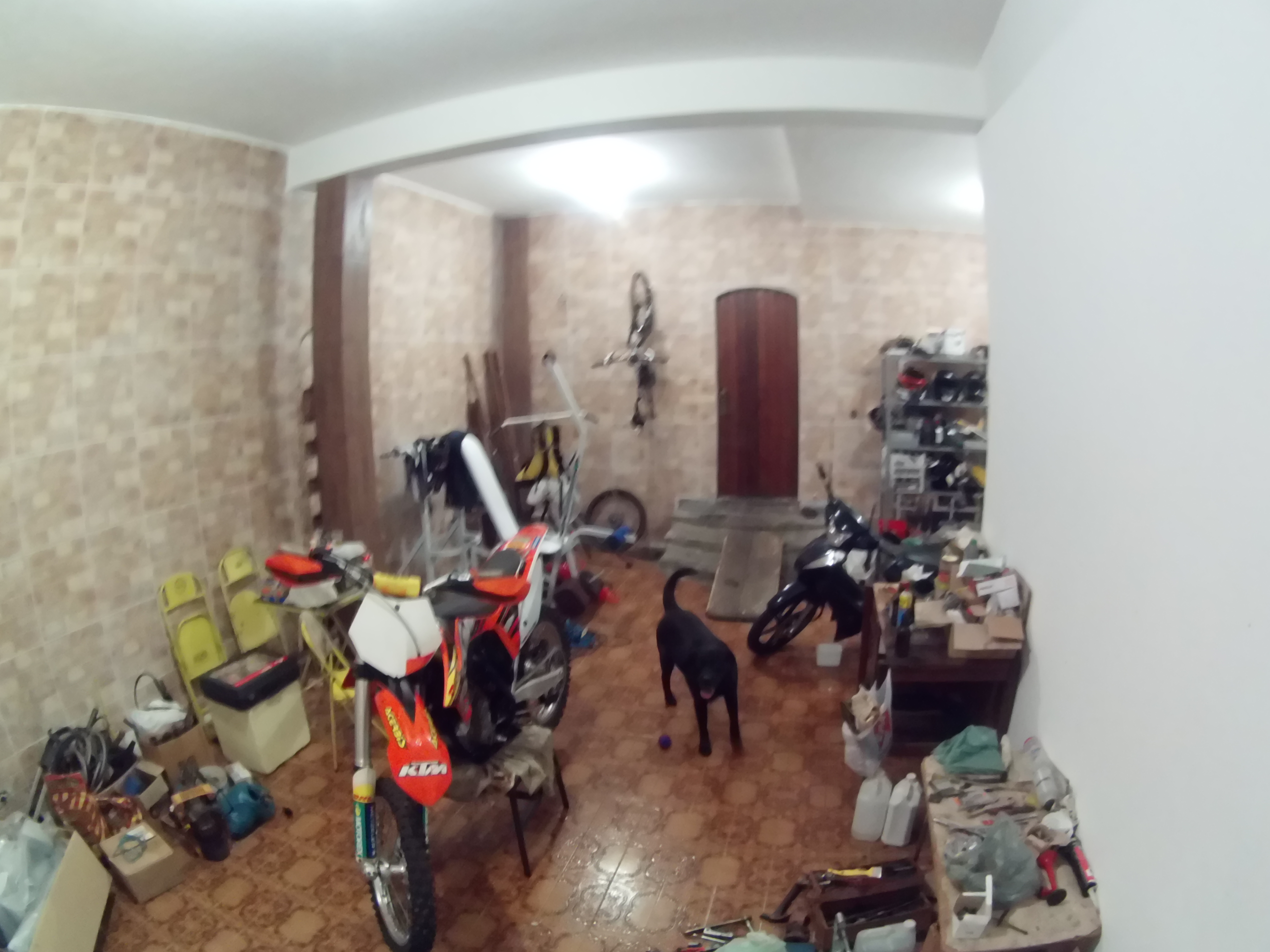 Photo 2778044