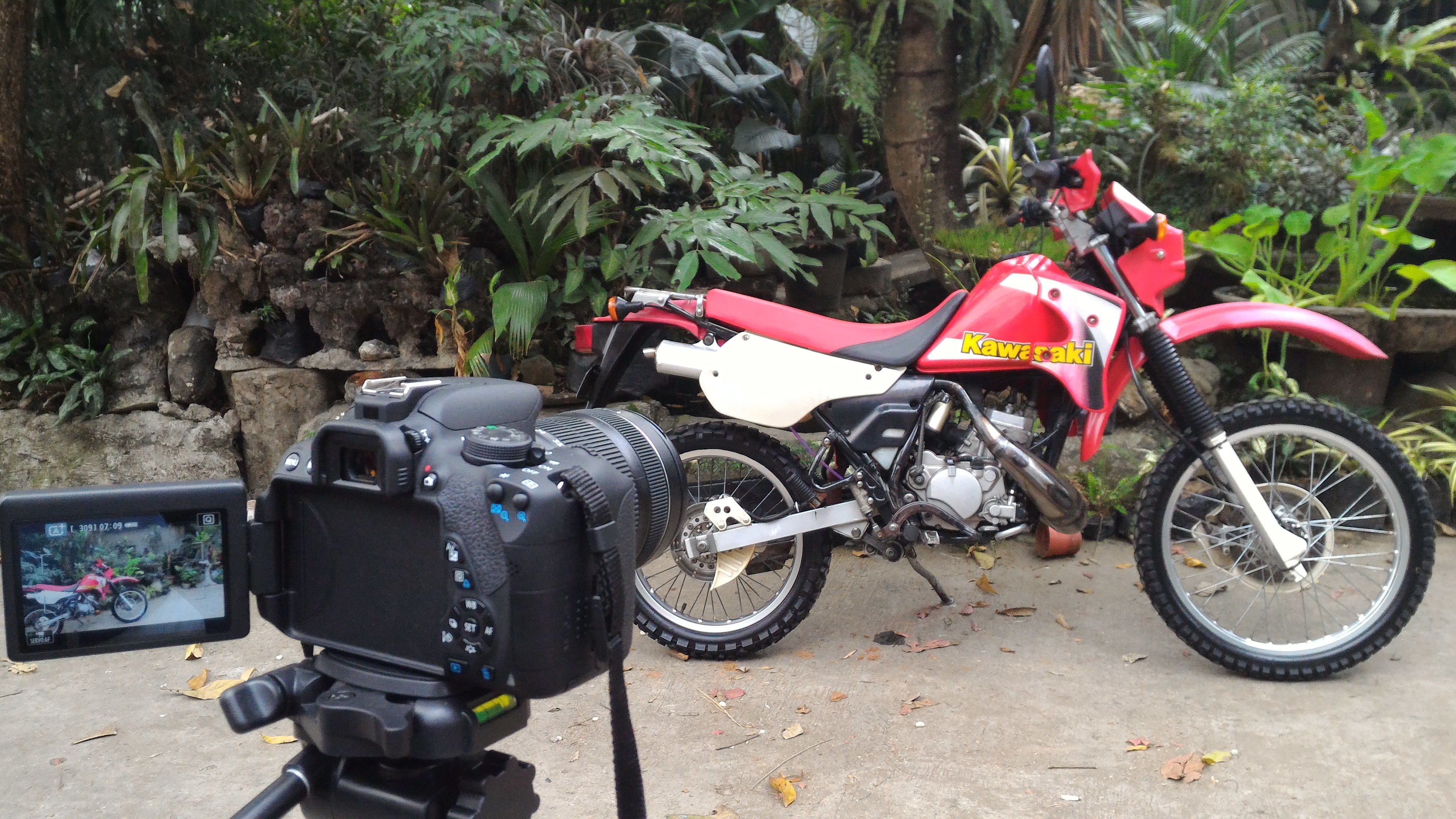 Photo 2778249