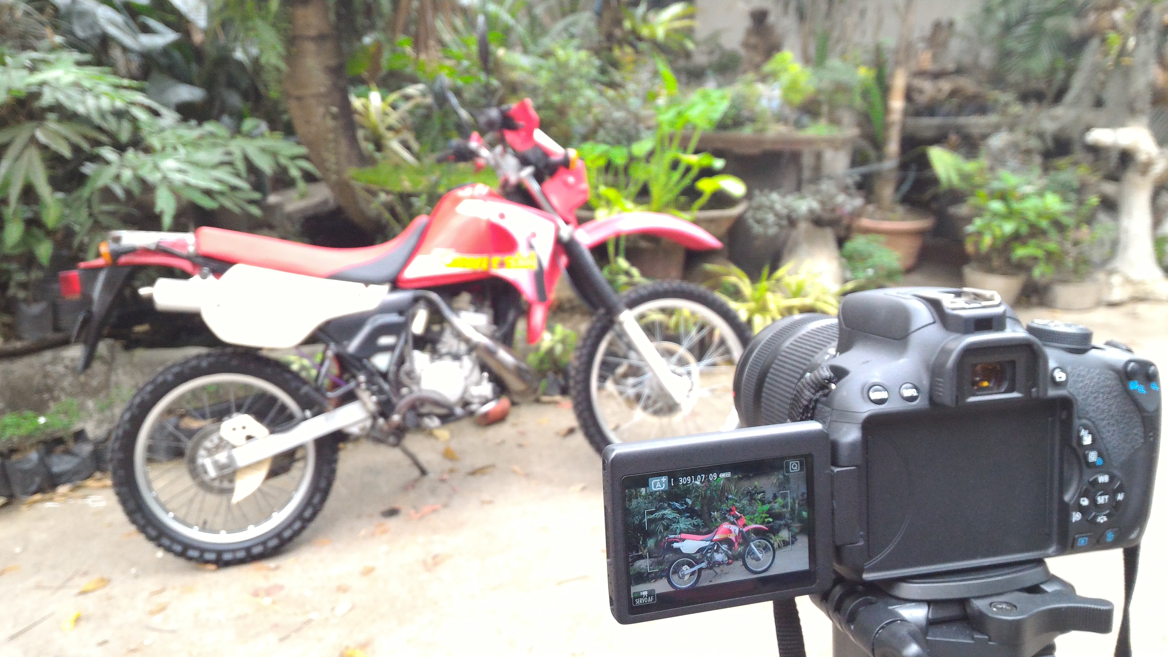 Photo 2778251