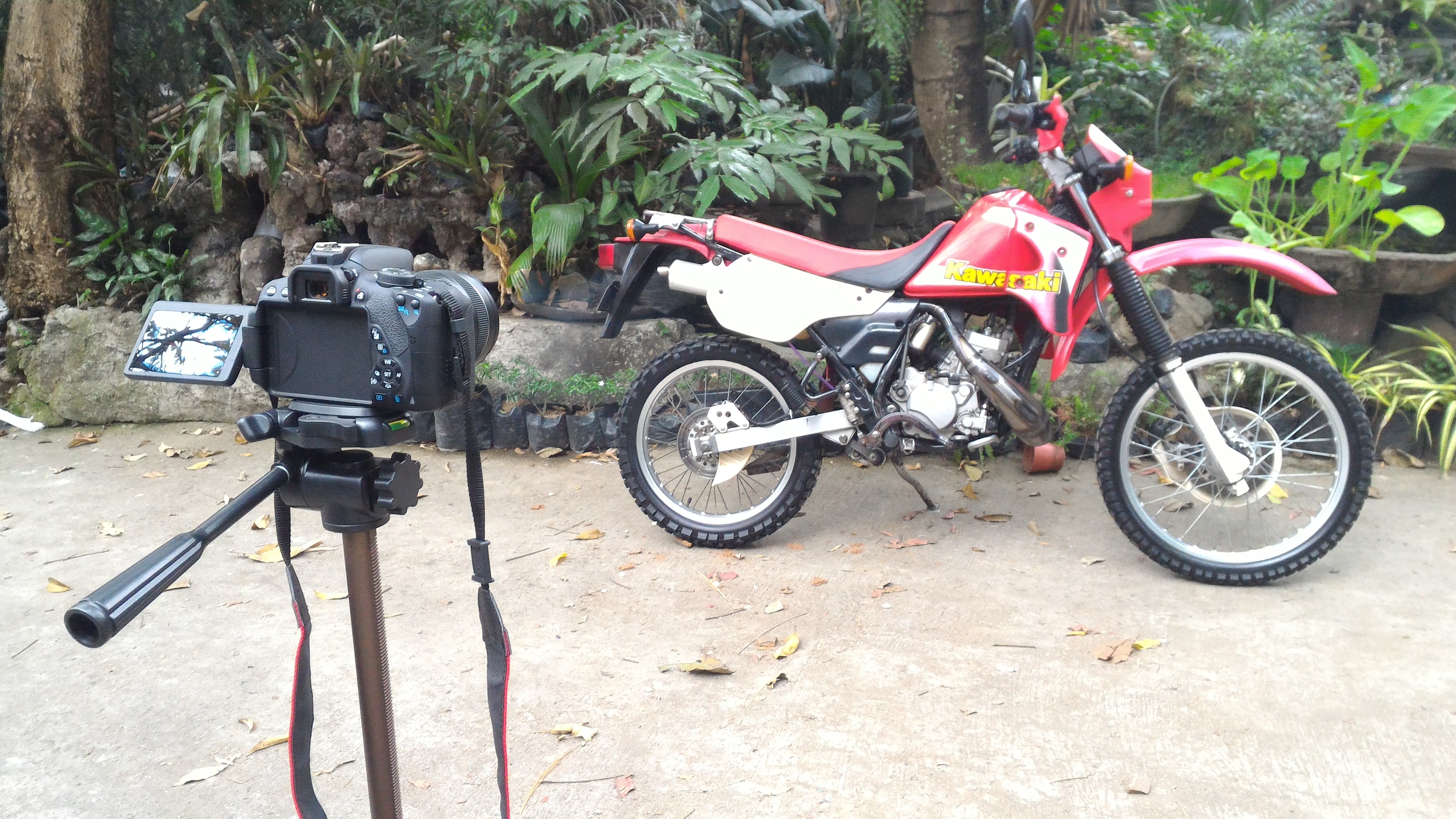 Photo 2778255