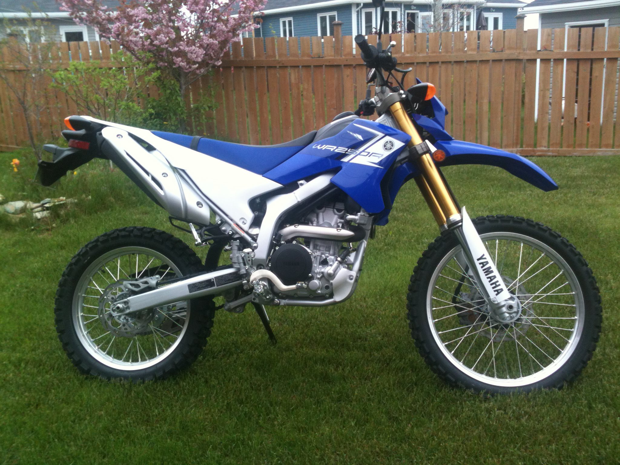 Photo 2778315