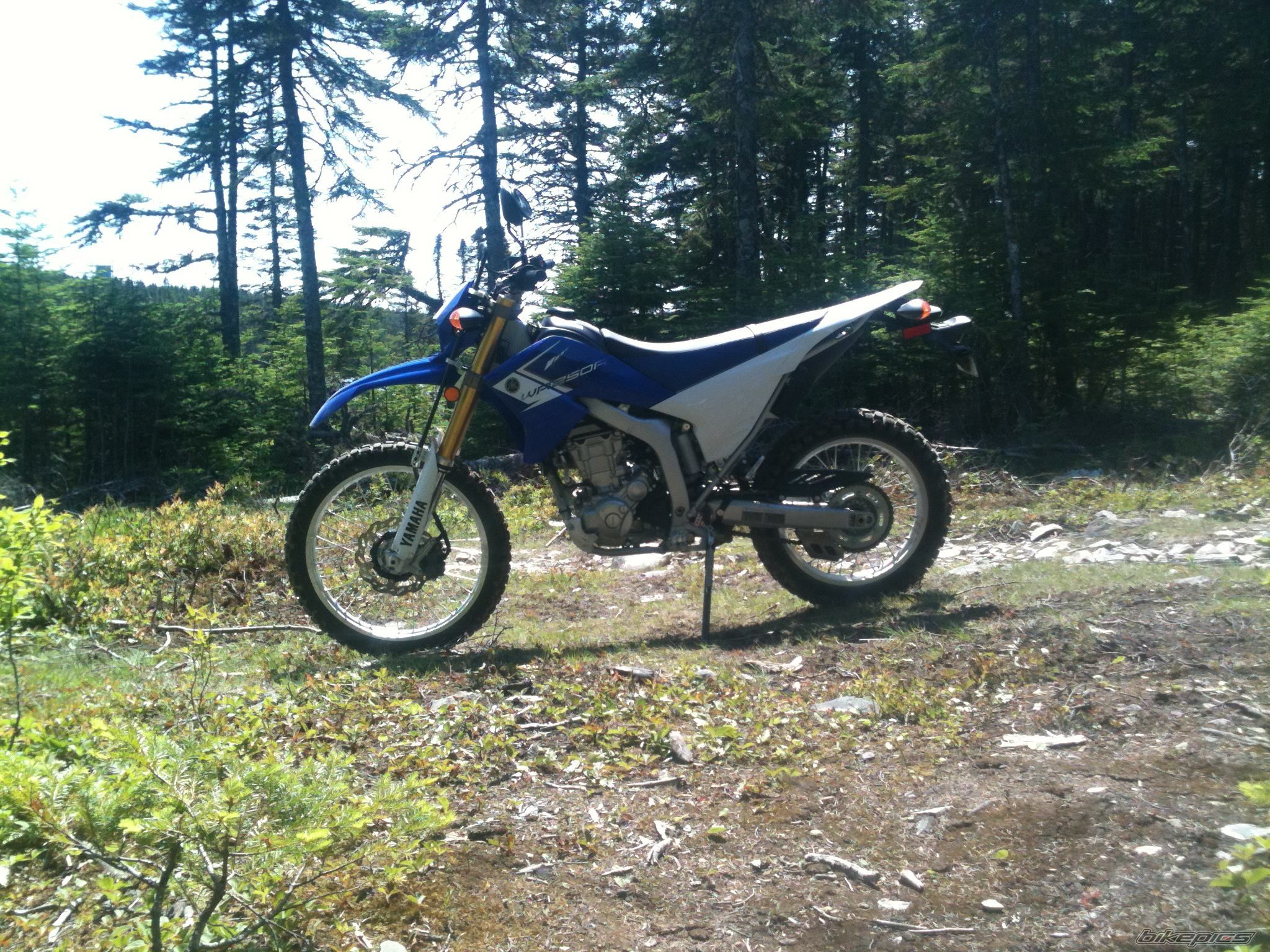 Photo 2778316