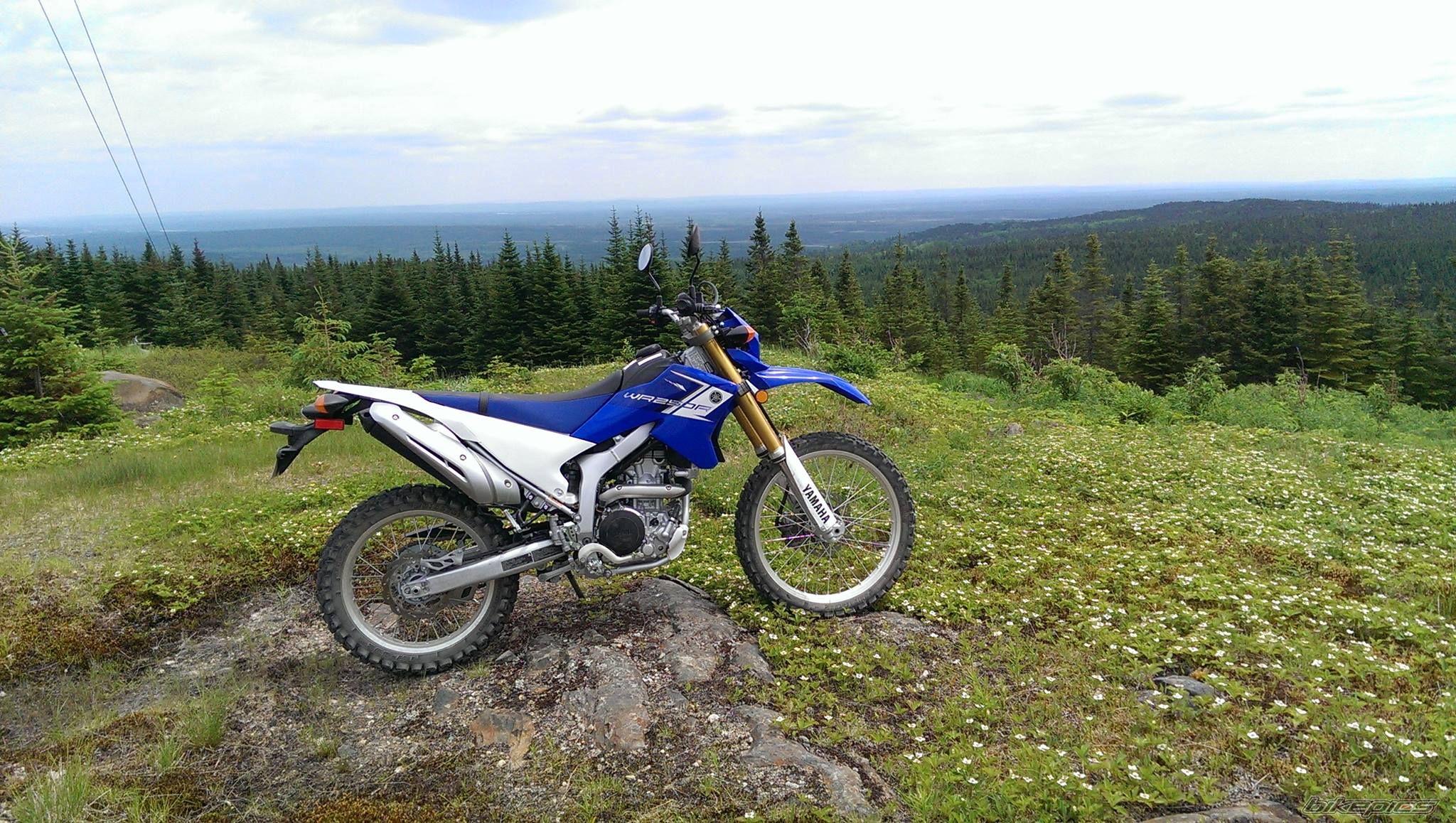 Photo 2778317