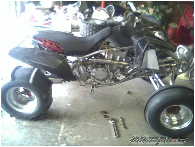 Photo 277840