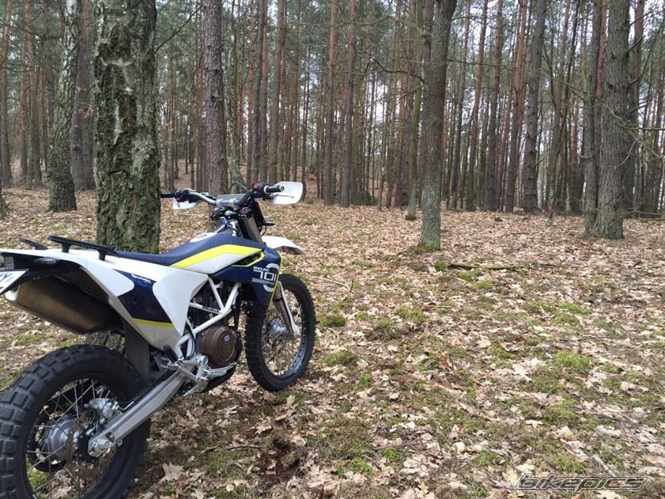 Photo 2778406