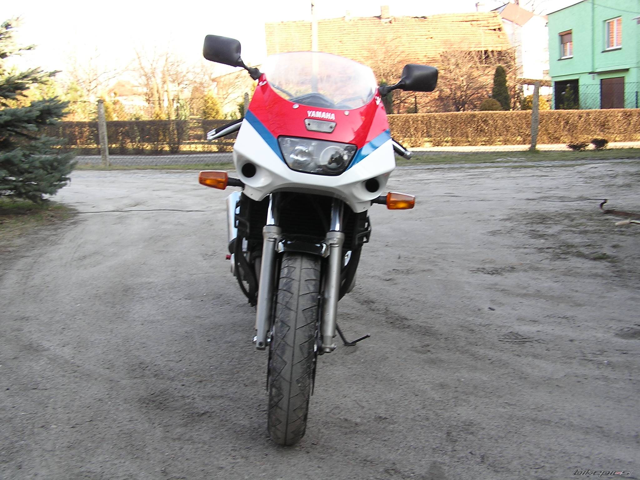 Photo 277841