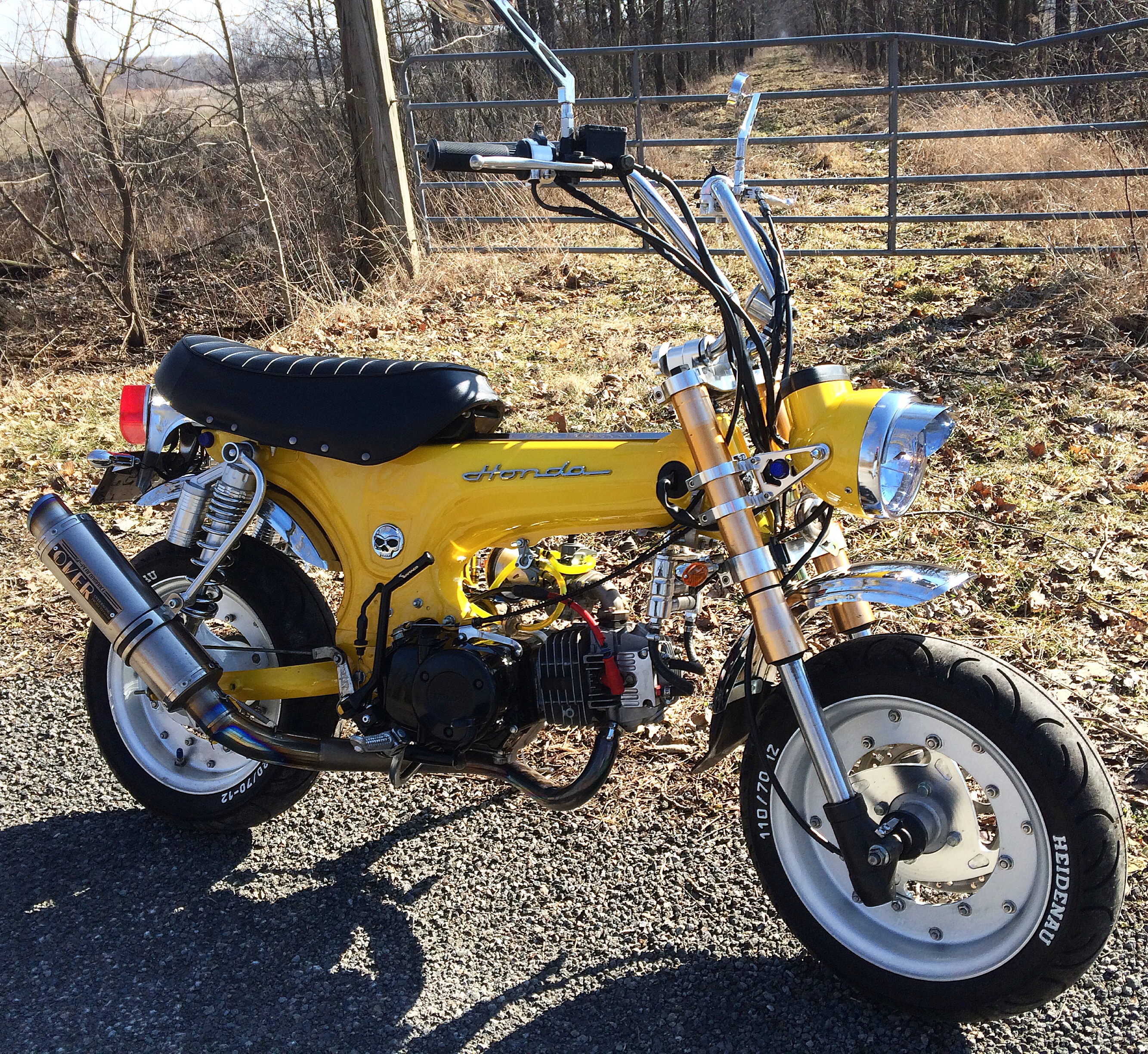 Photo 2778451