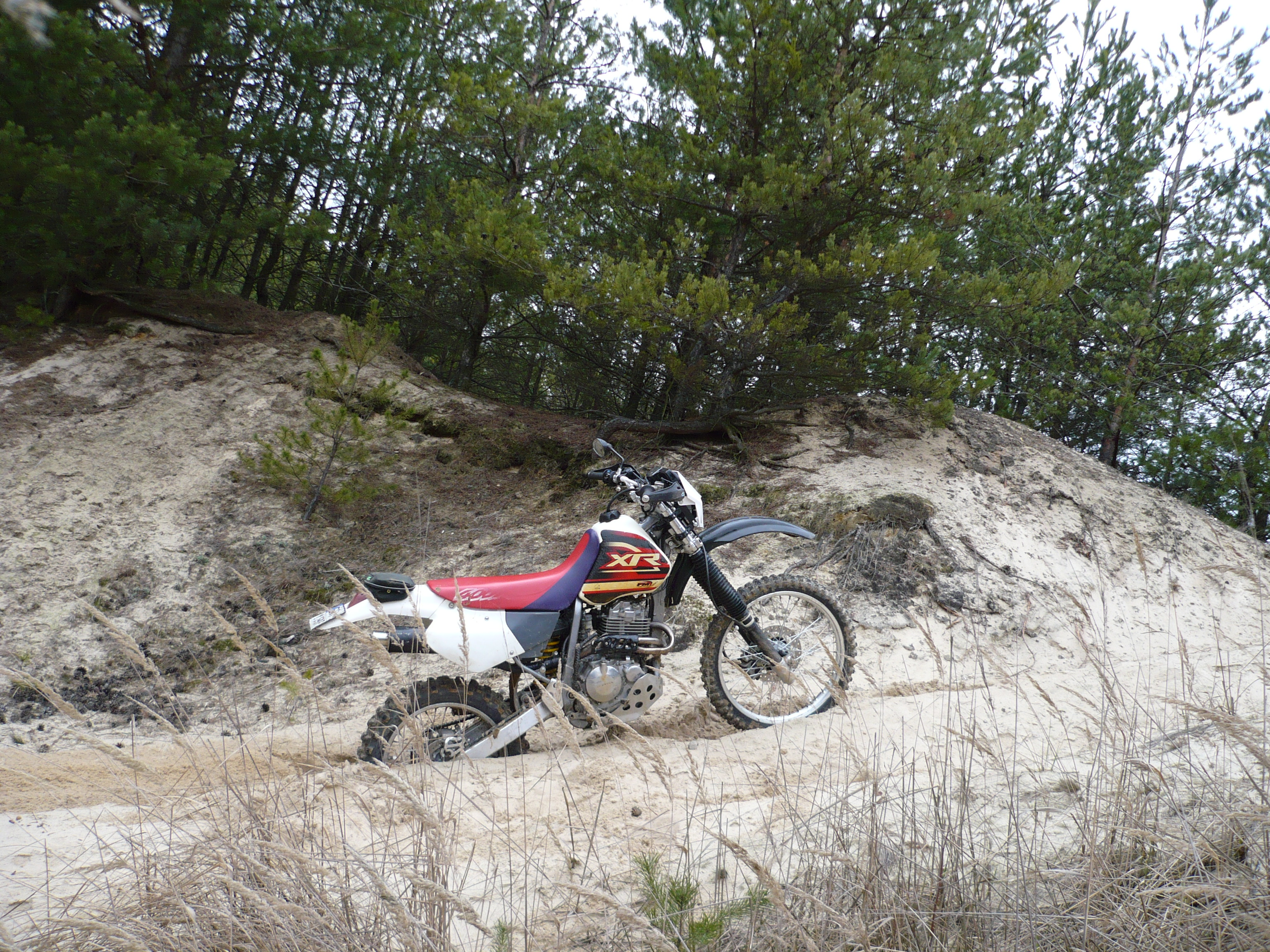 Photo 2778497