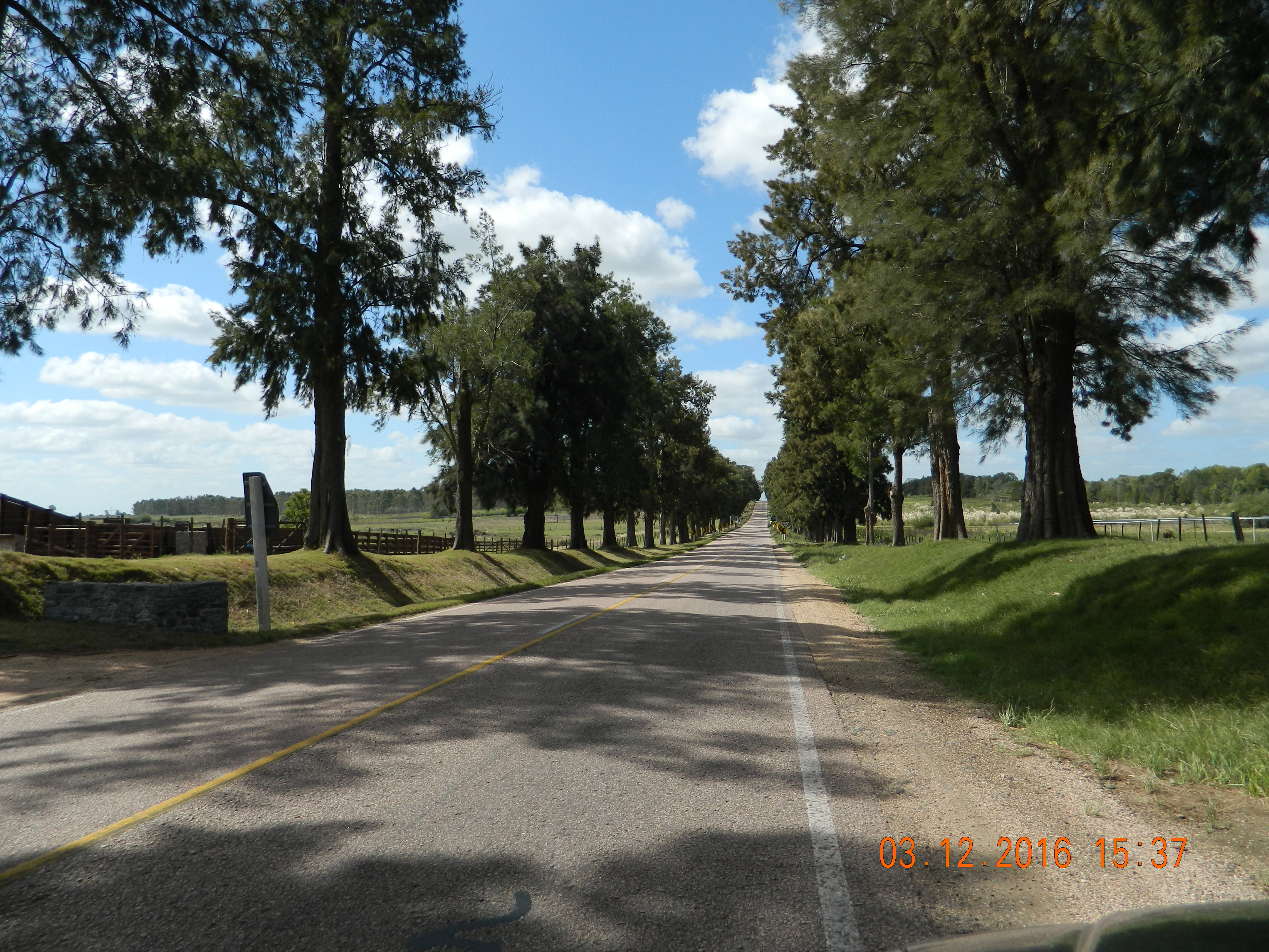 Photo 2778558