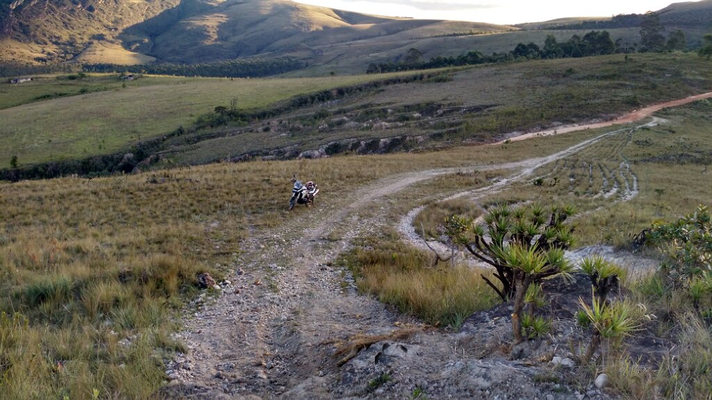 Photo 2778649