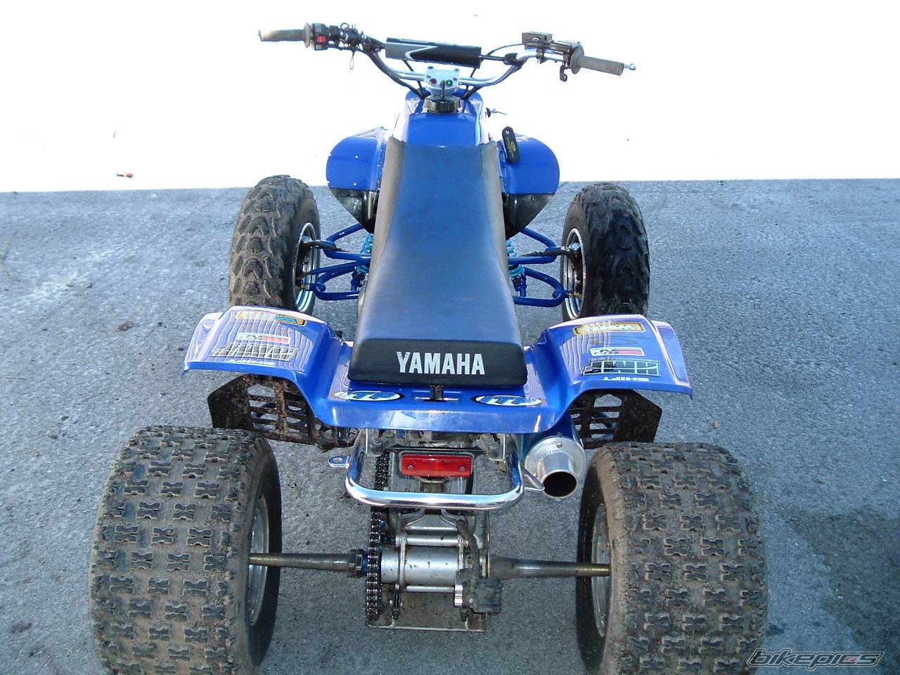 Photo 277874