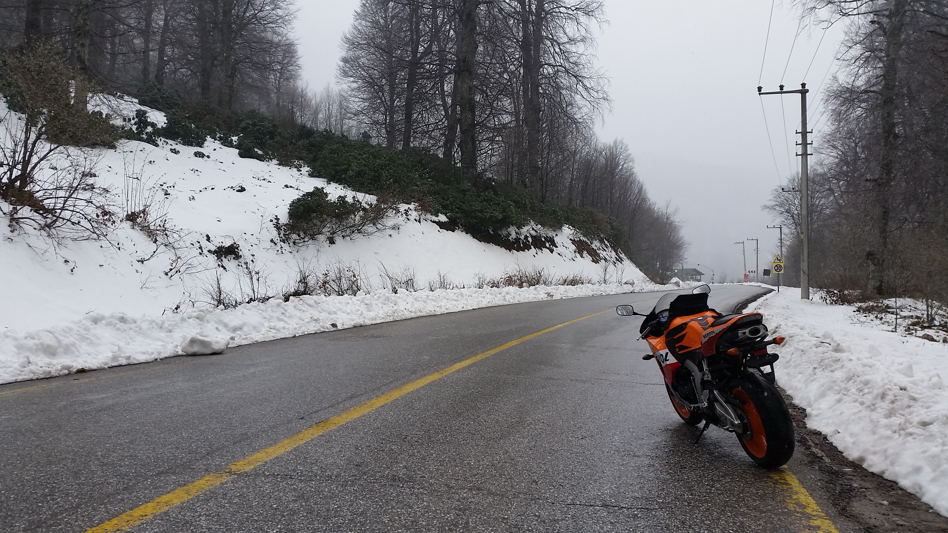 Photo 2778784