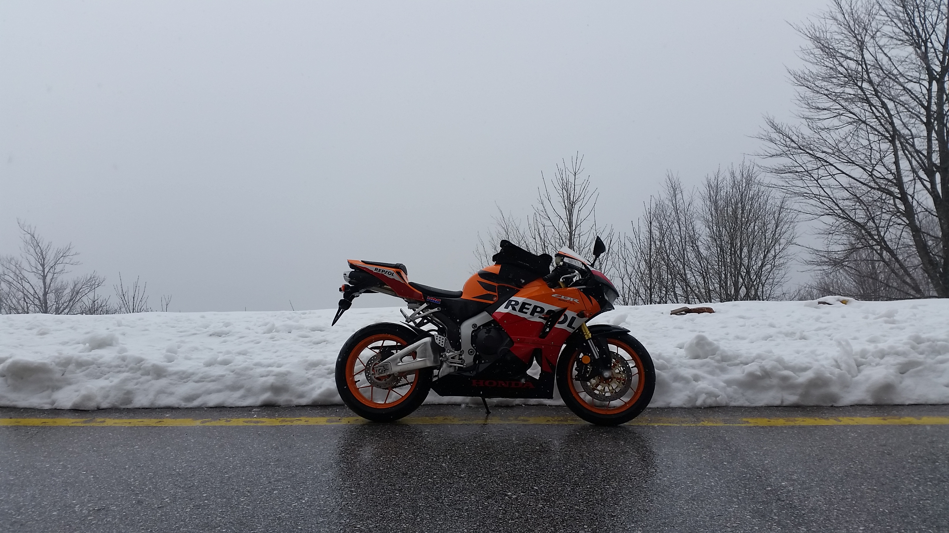 Photo 2778788