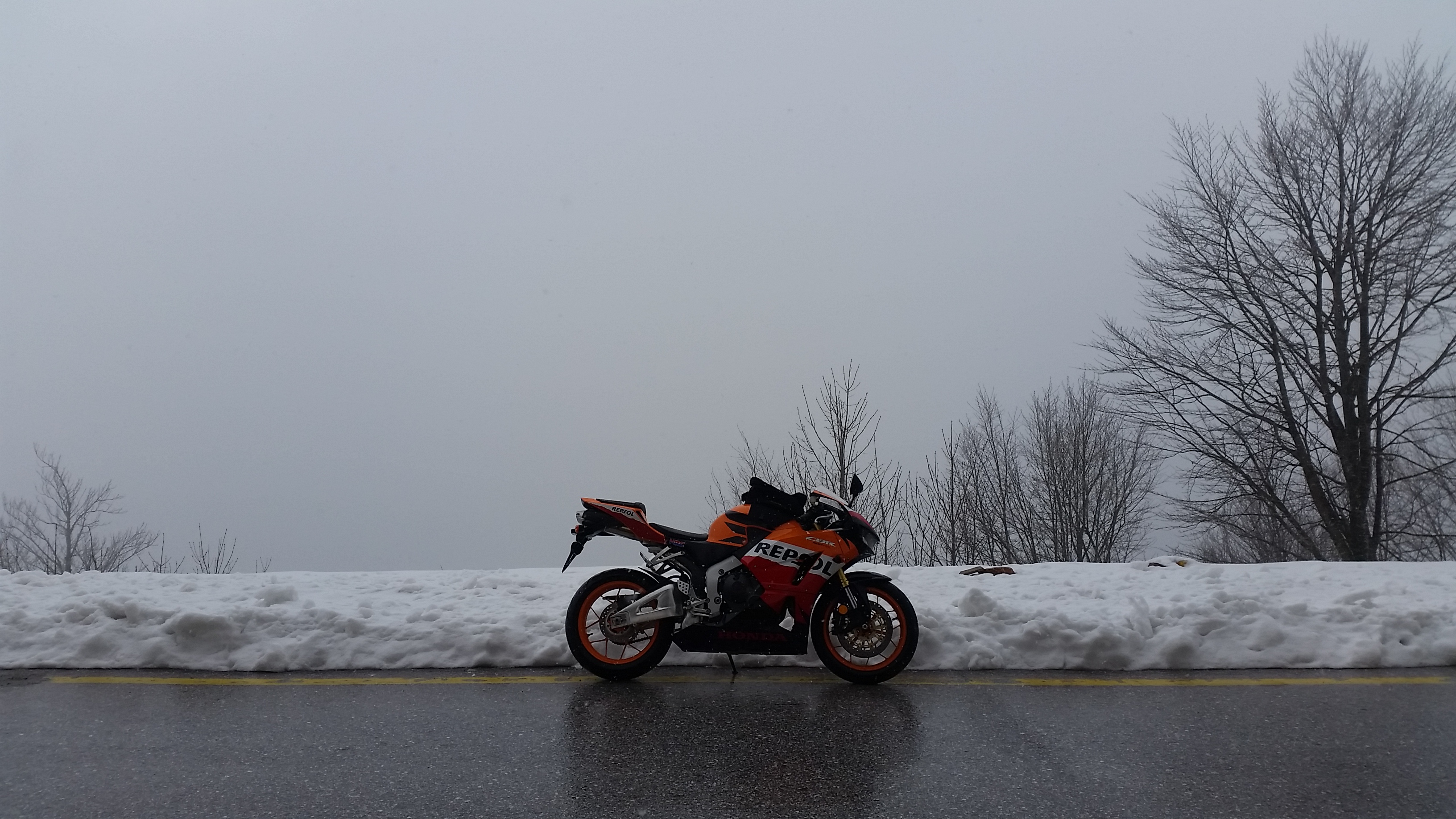 Photo 2778789