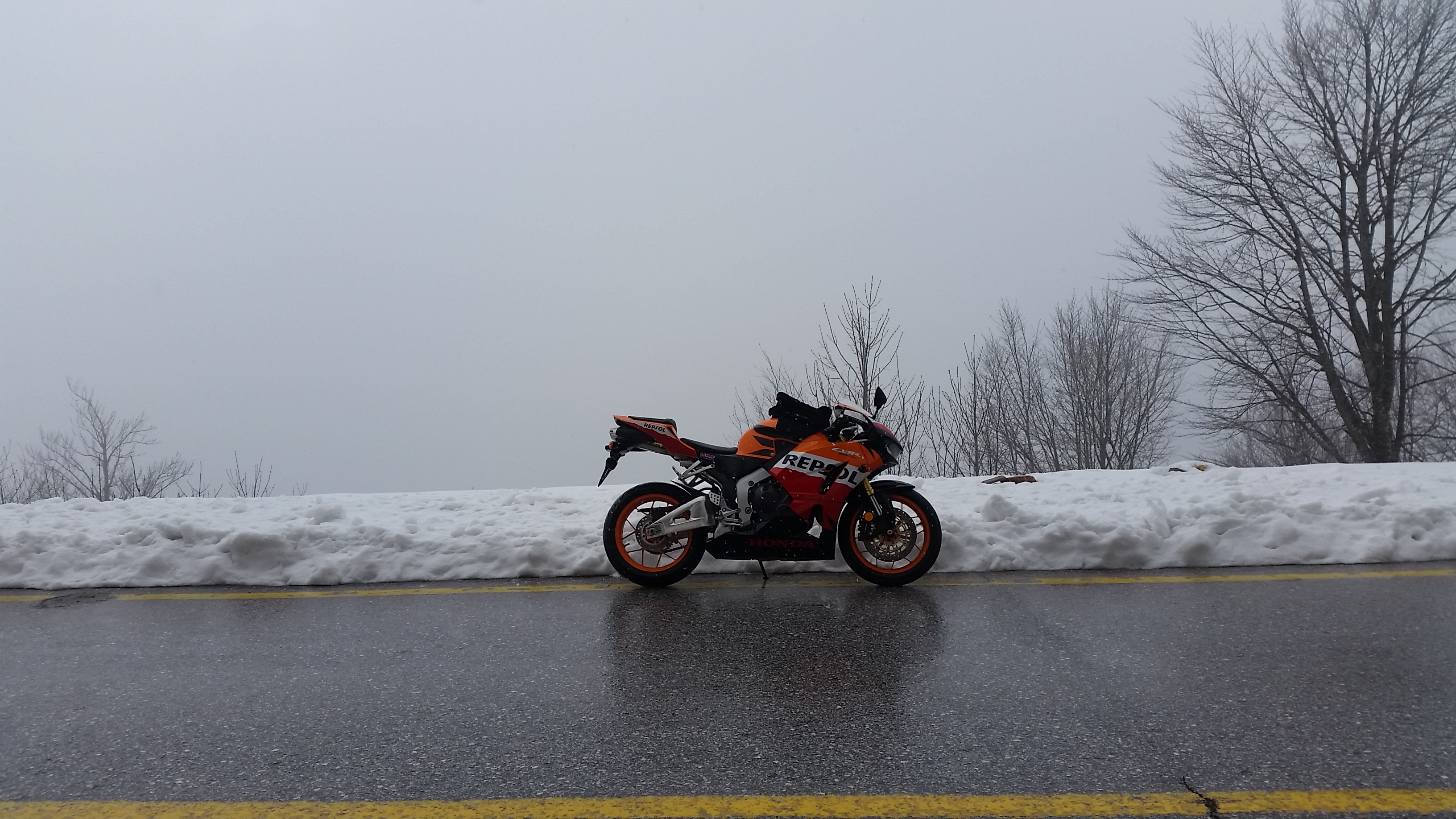 Photo 2778790
