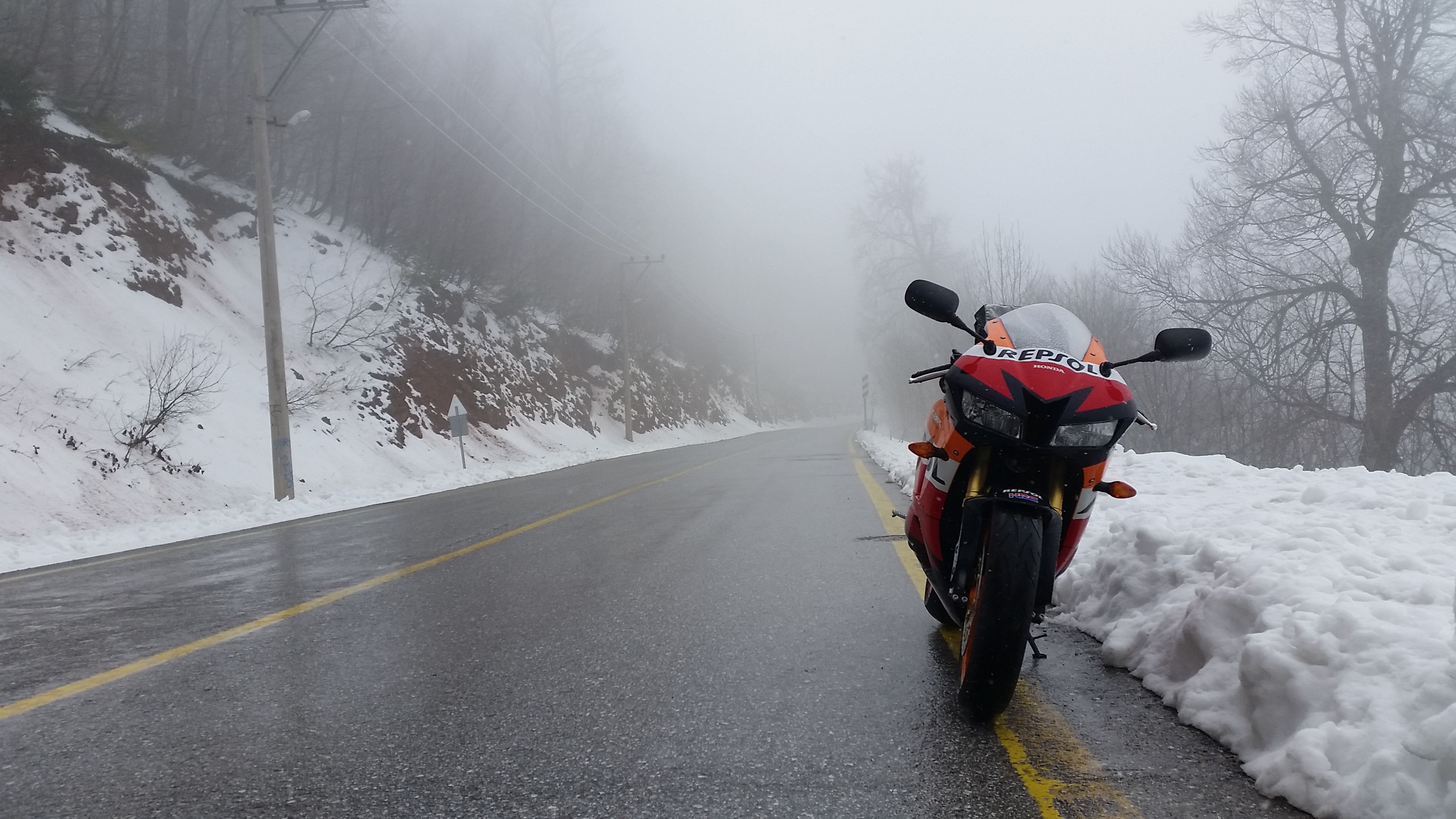 Photo 2778792