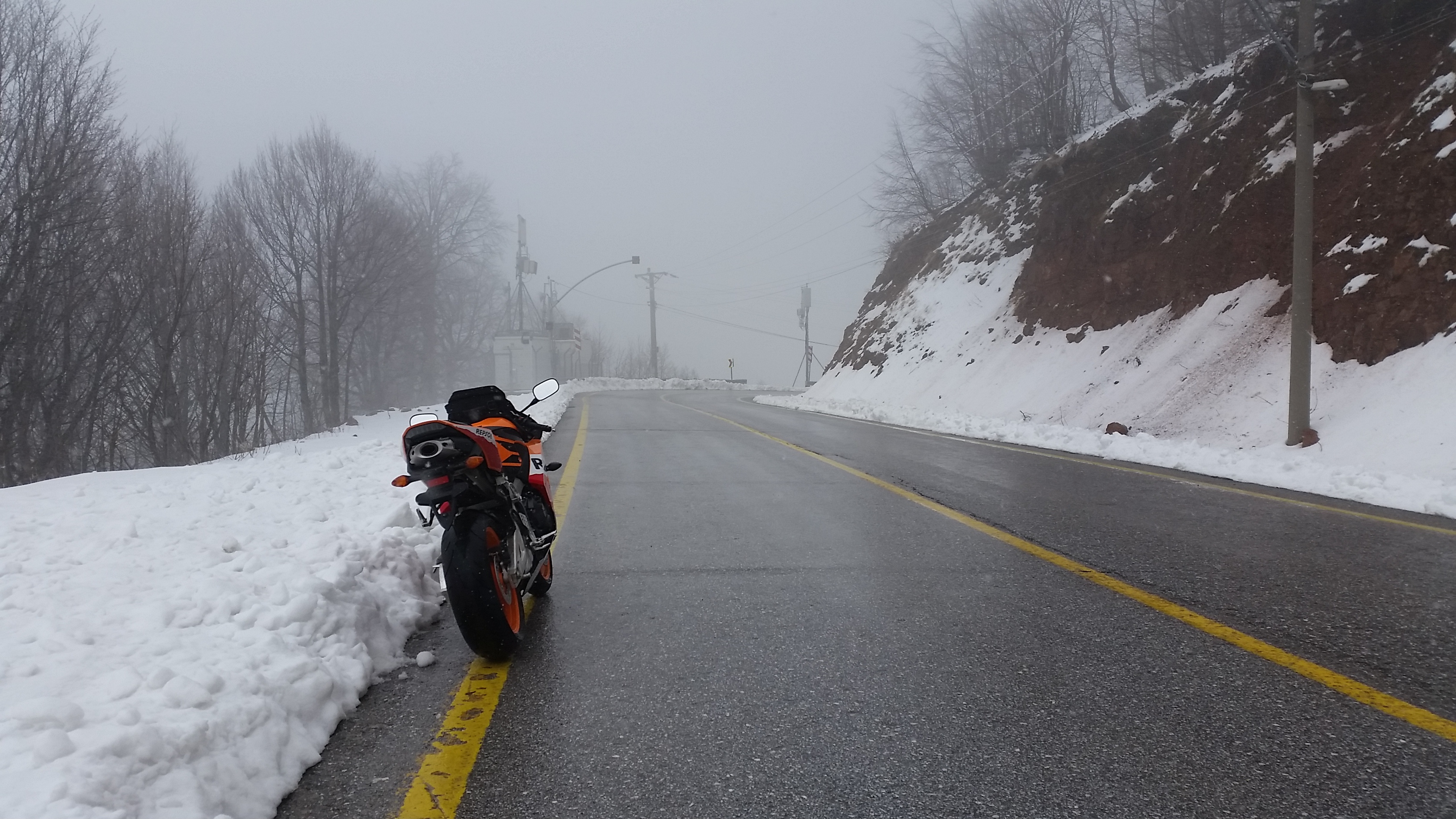Photo 2778793