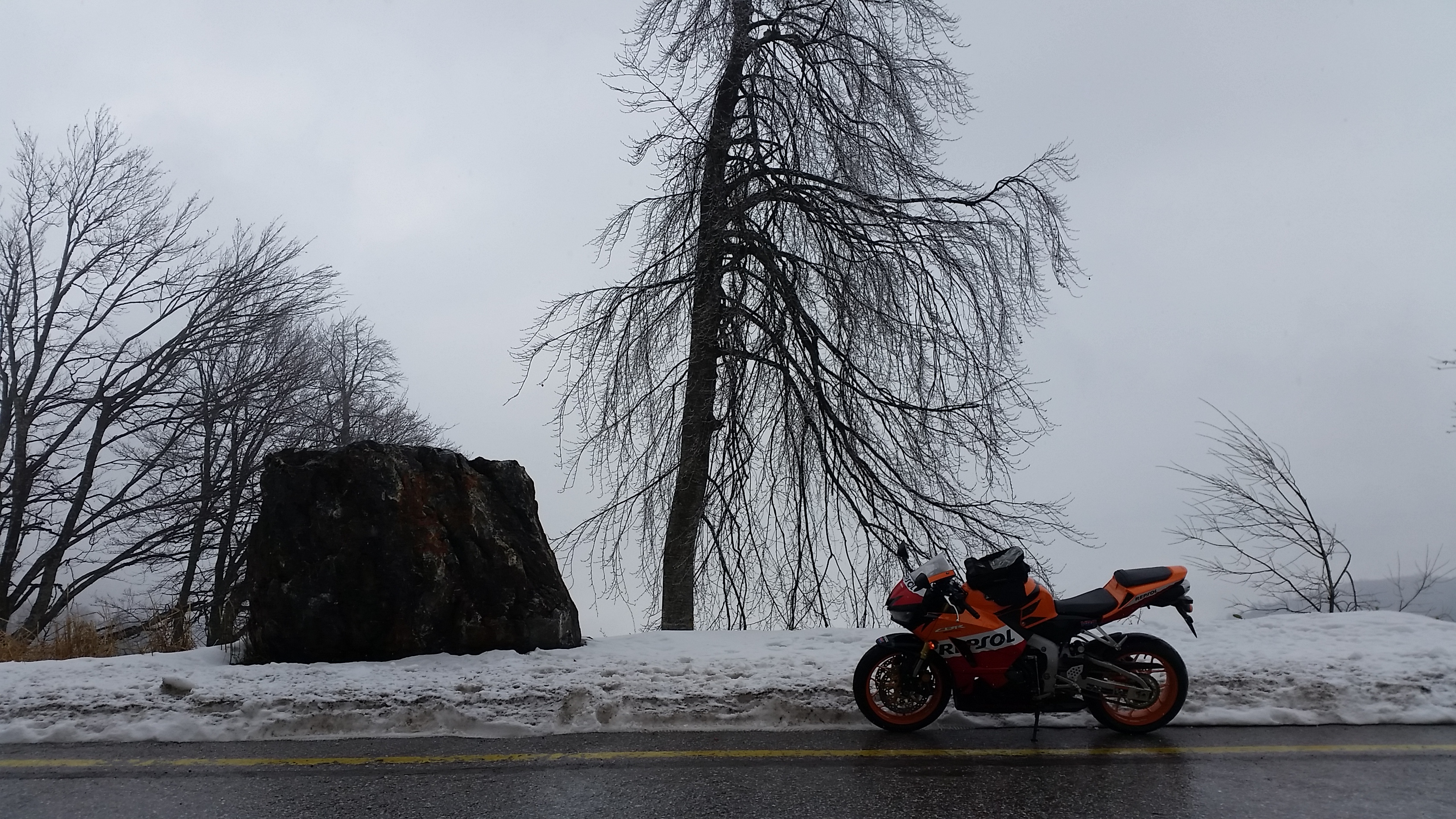 Photo 2778794