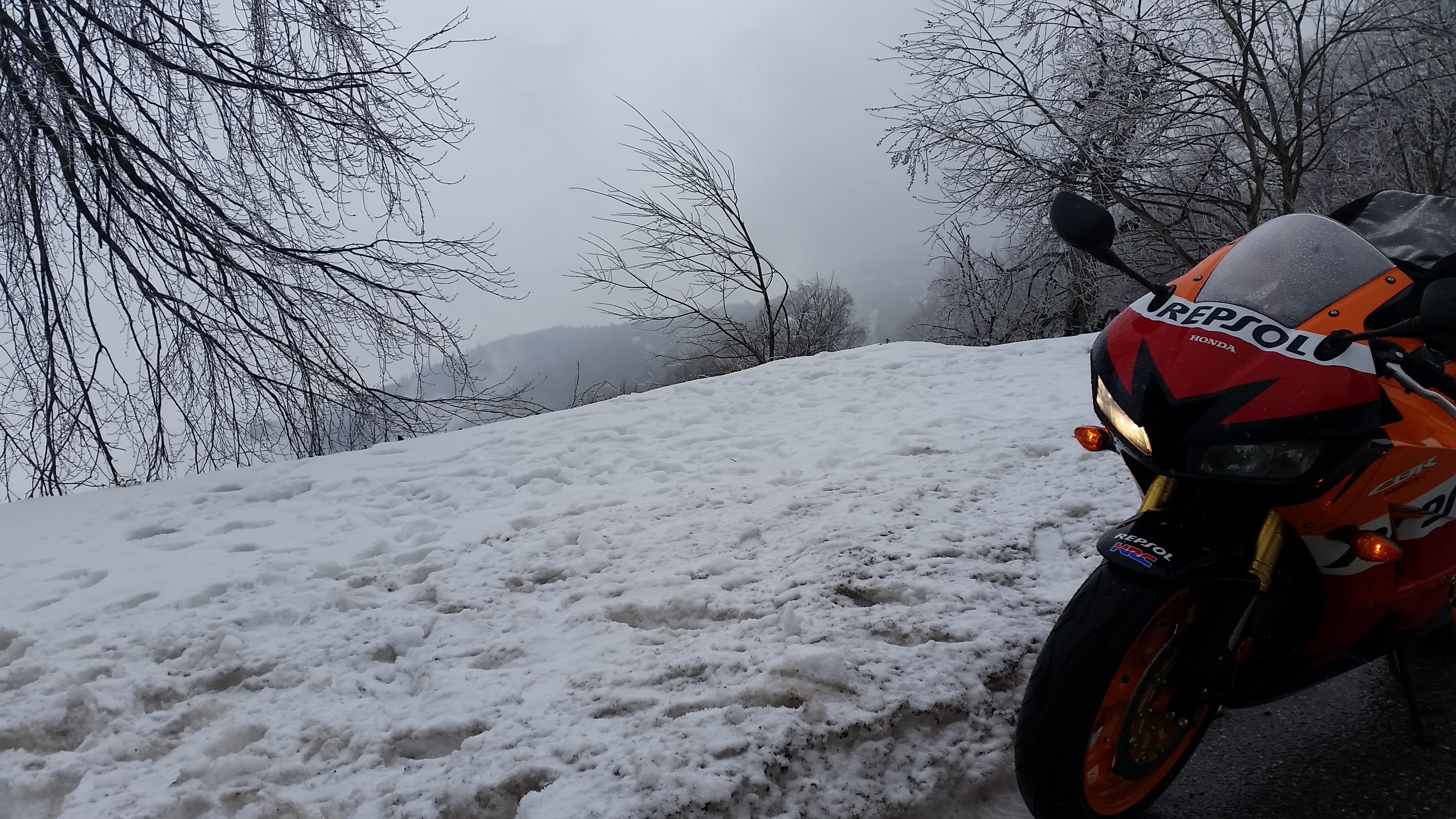 Photo 2778815
