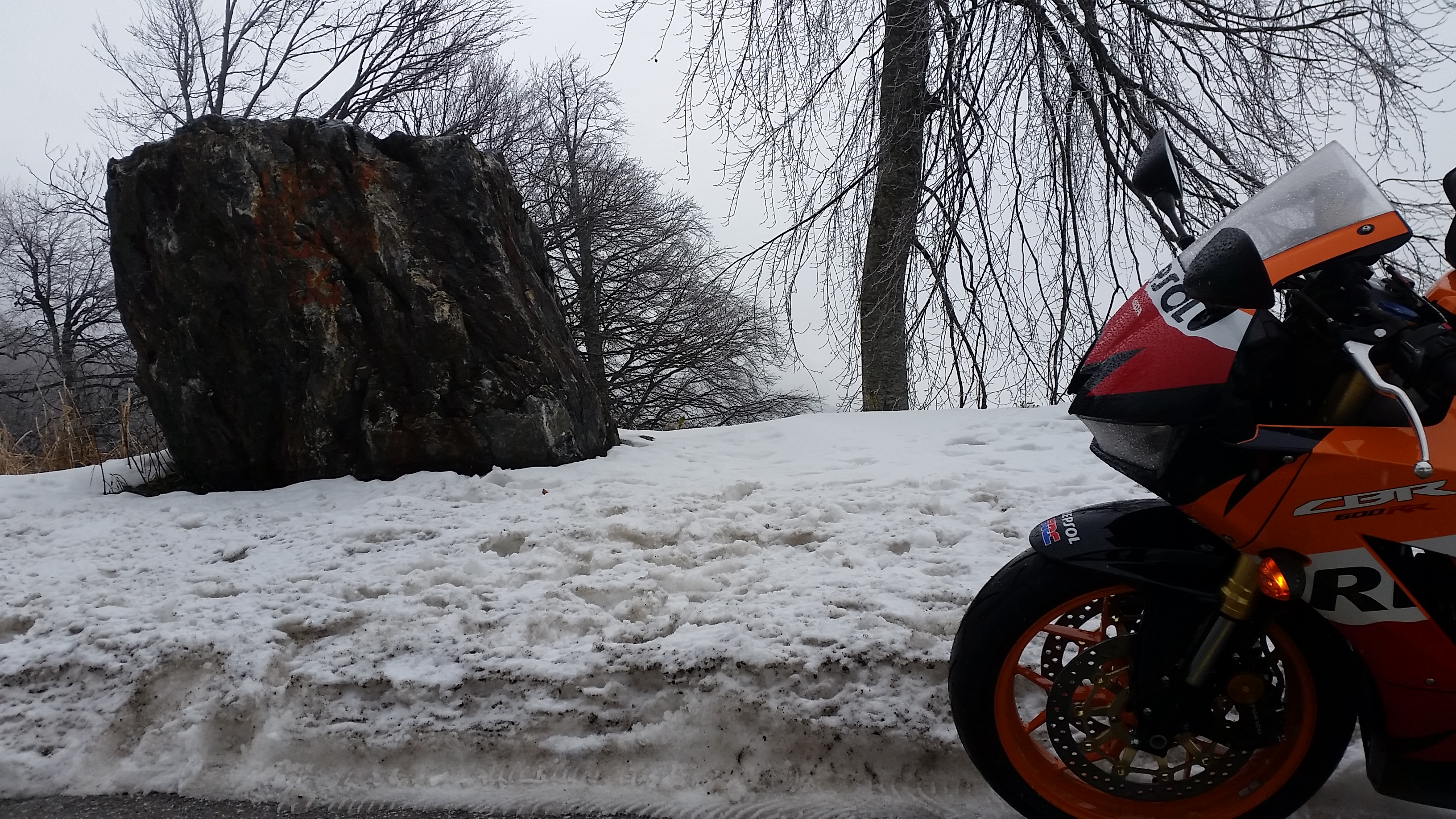 Photo 2778822