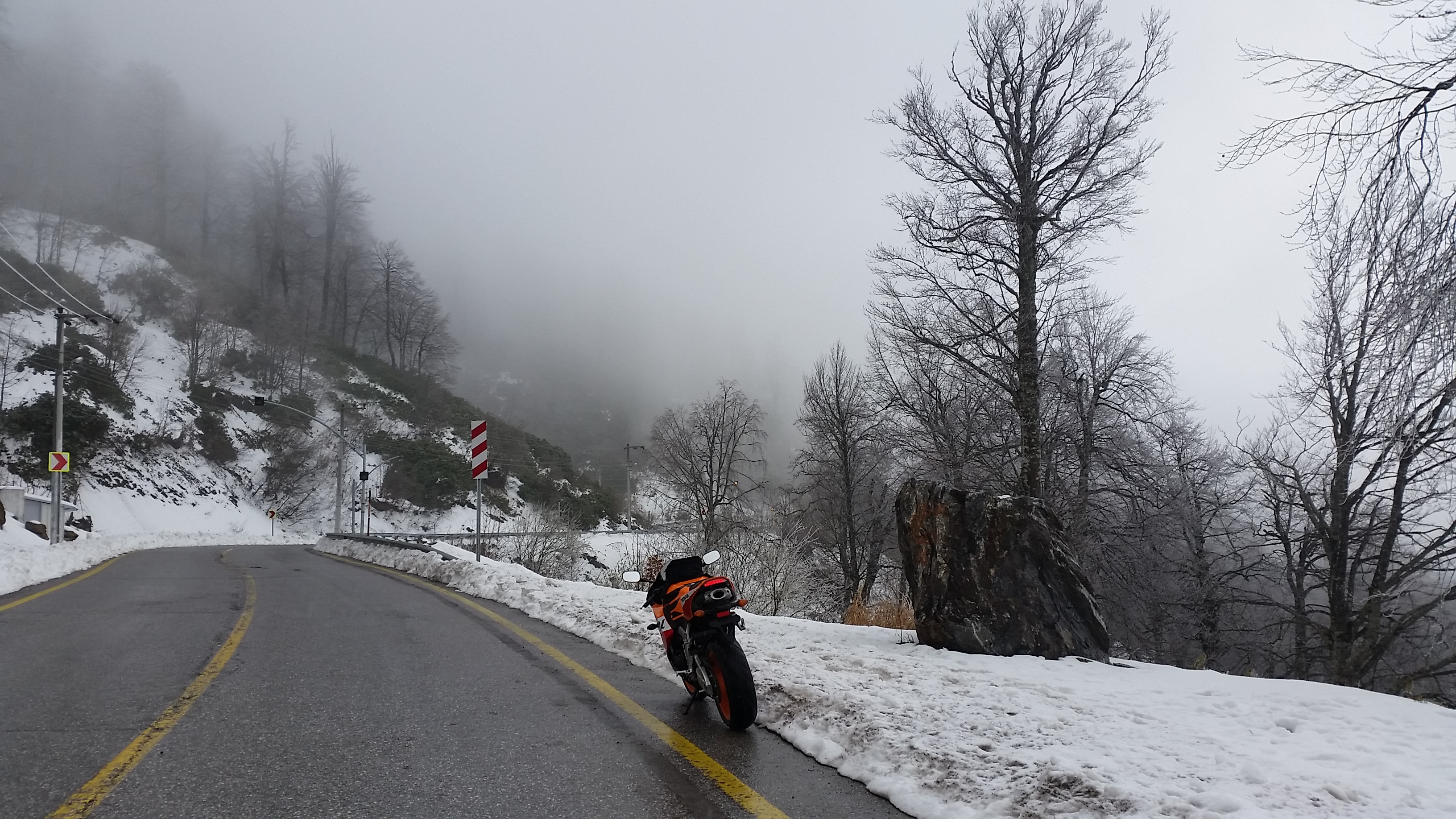 Photo 2778824