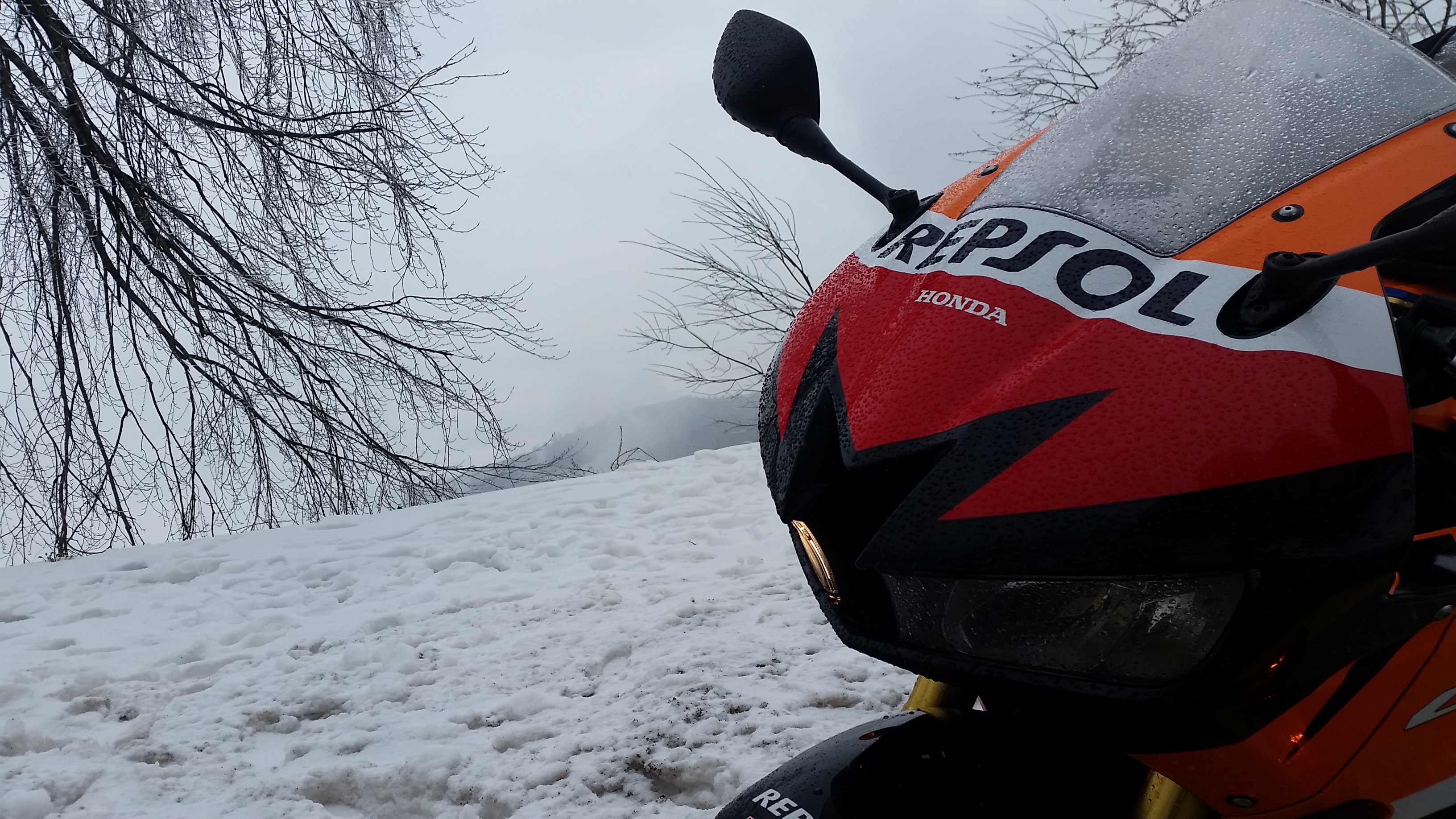Photo 2778827