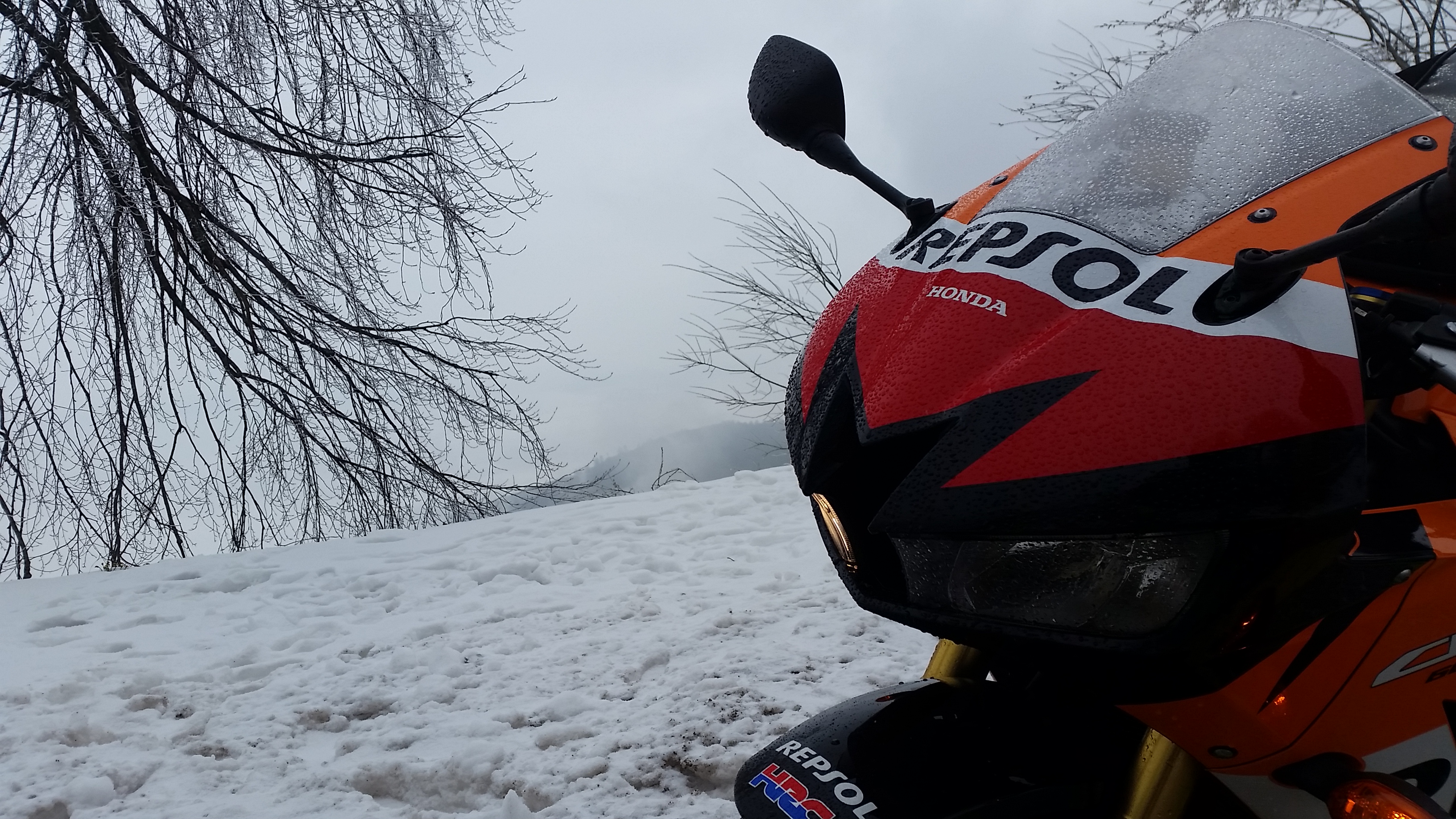 Photo 2778828