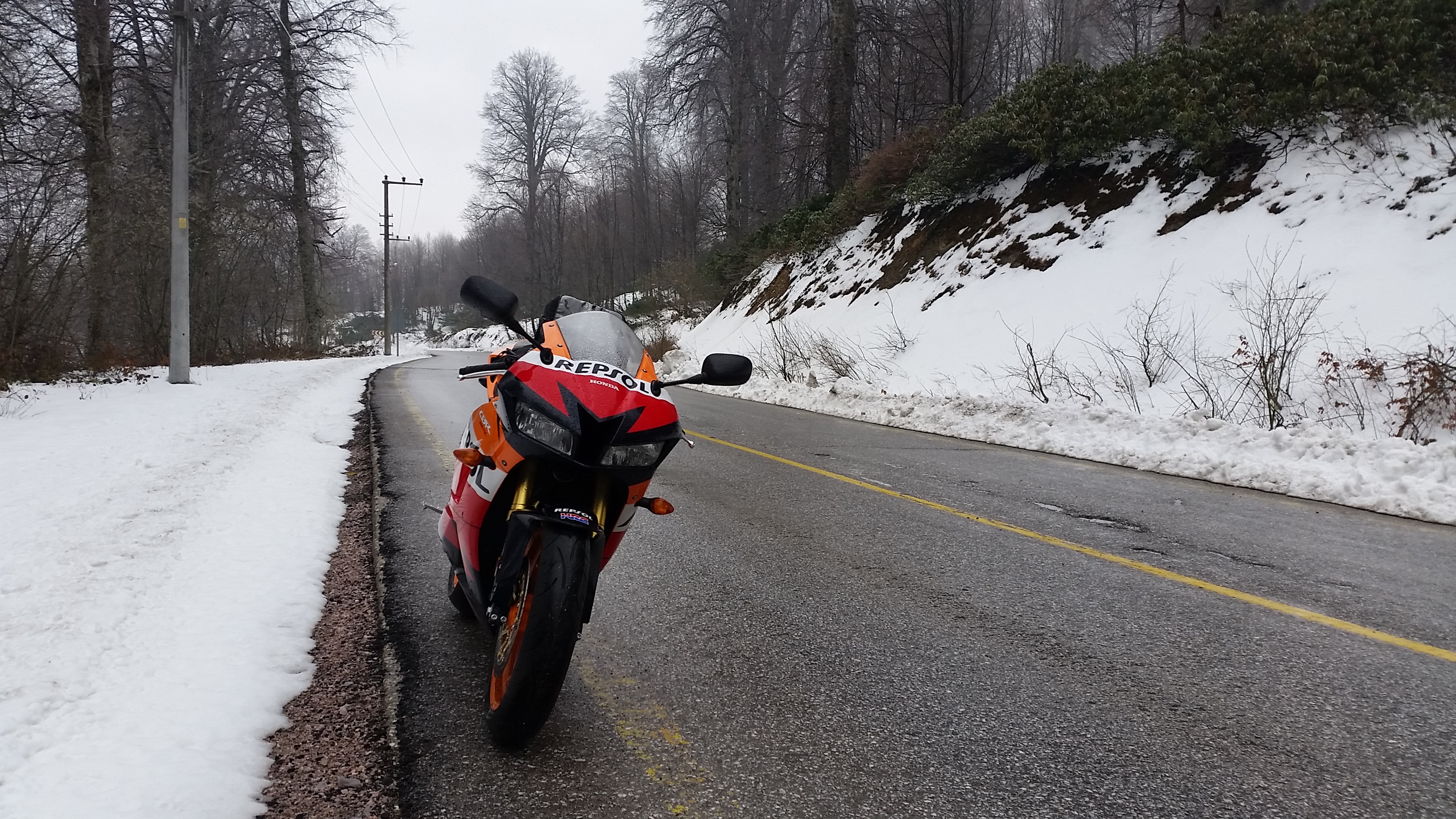 Photo 2778833